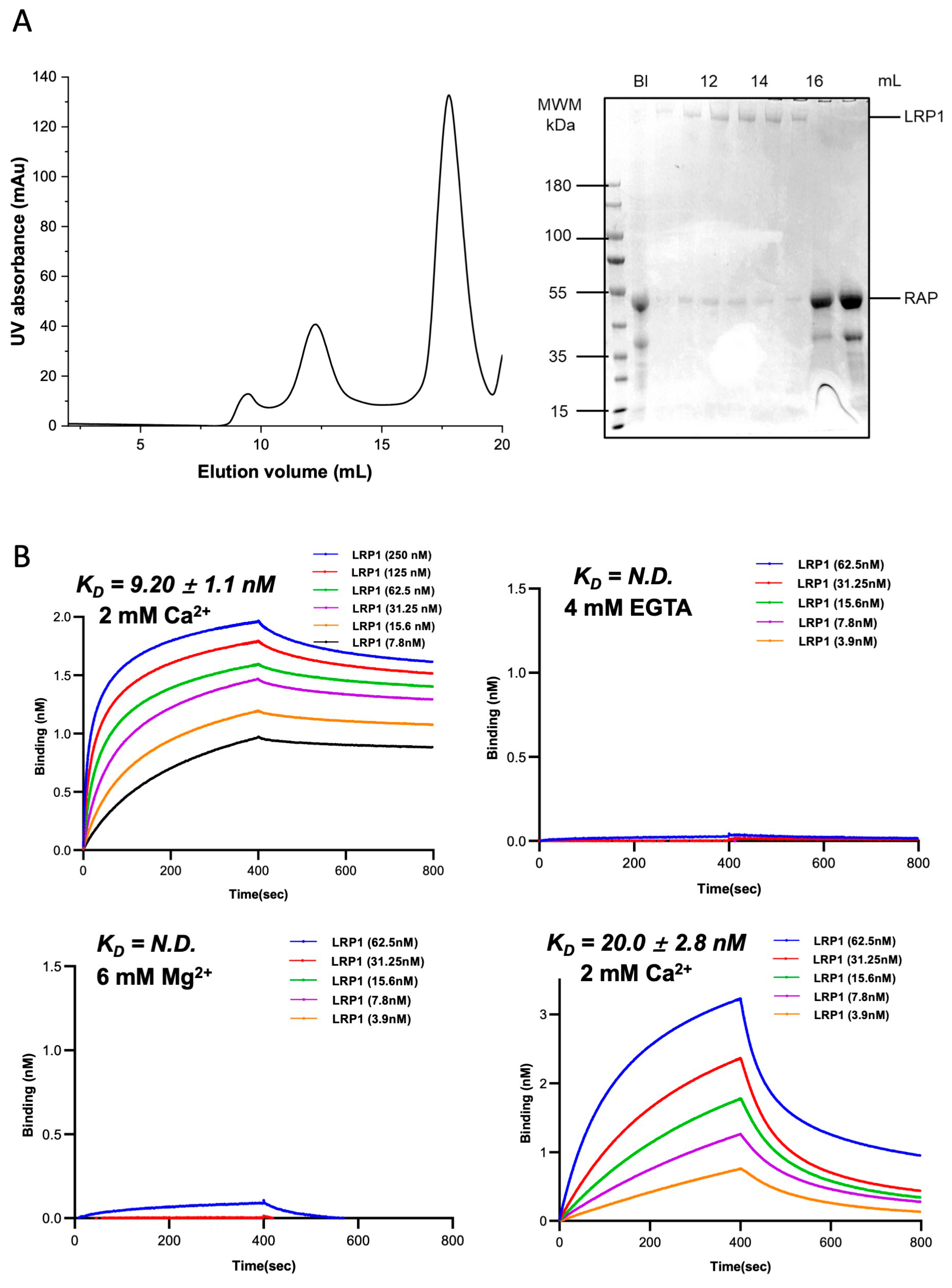 Biomolecules 16 00014 g001