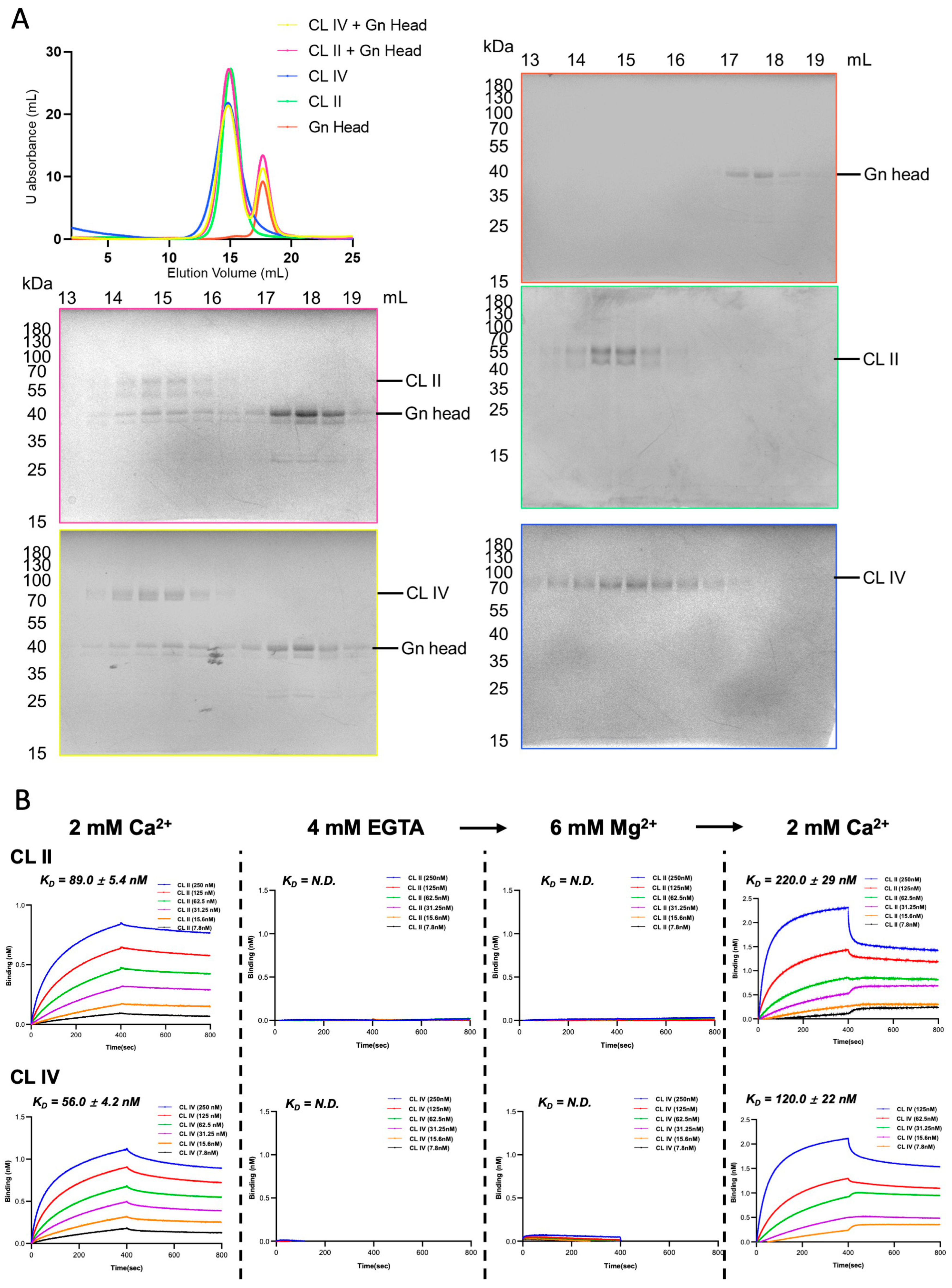 Biomolecules 16 00014 g002