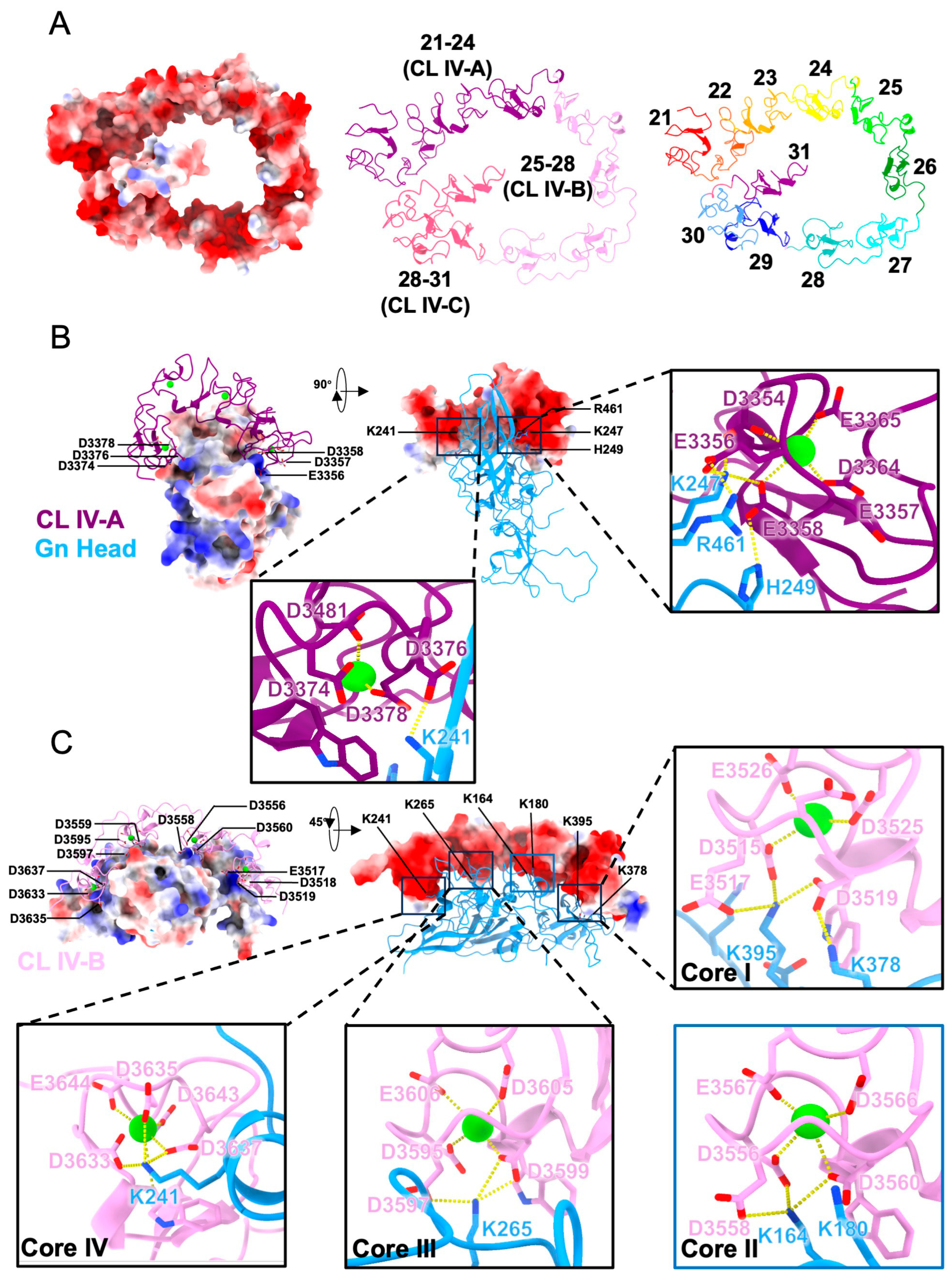 Biomolecules 16 00014 g003