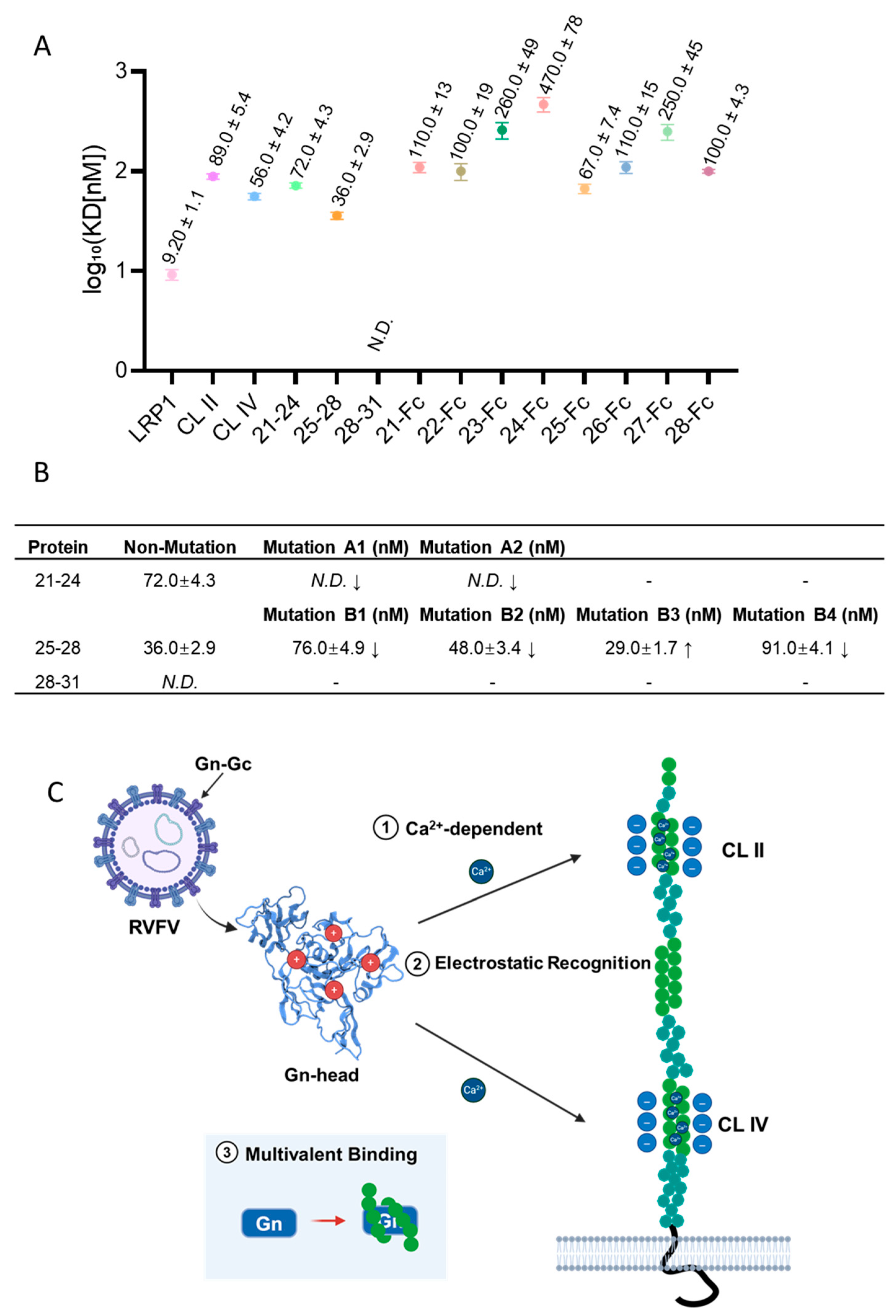 Biomolecules 16 00014 g004