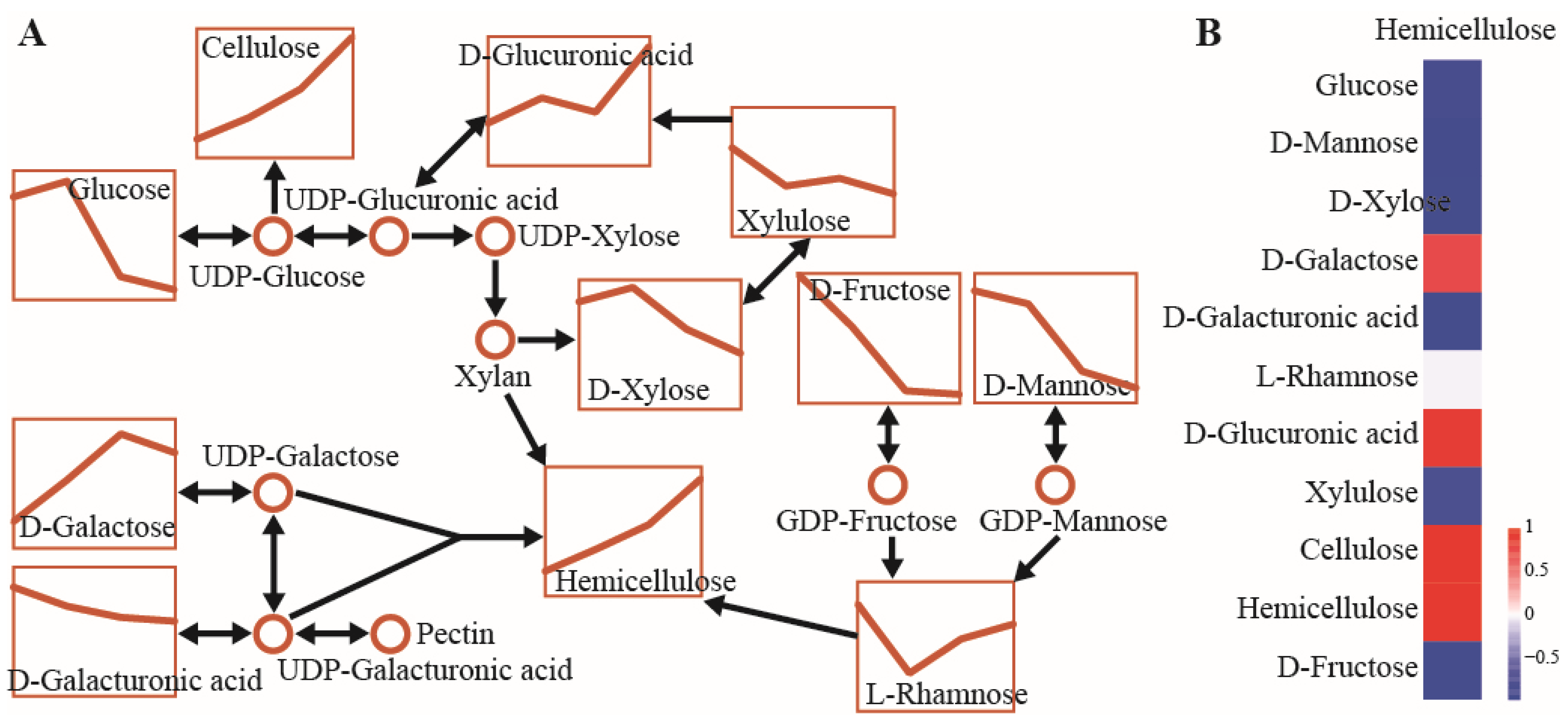 Biomolecules 16 00017 g005 Biomolecules 16 00017 g005