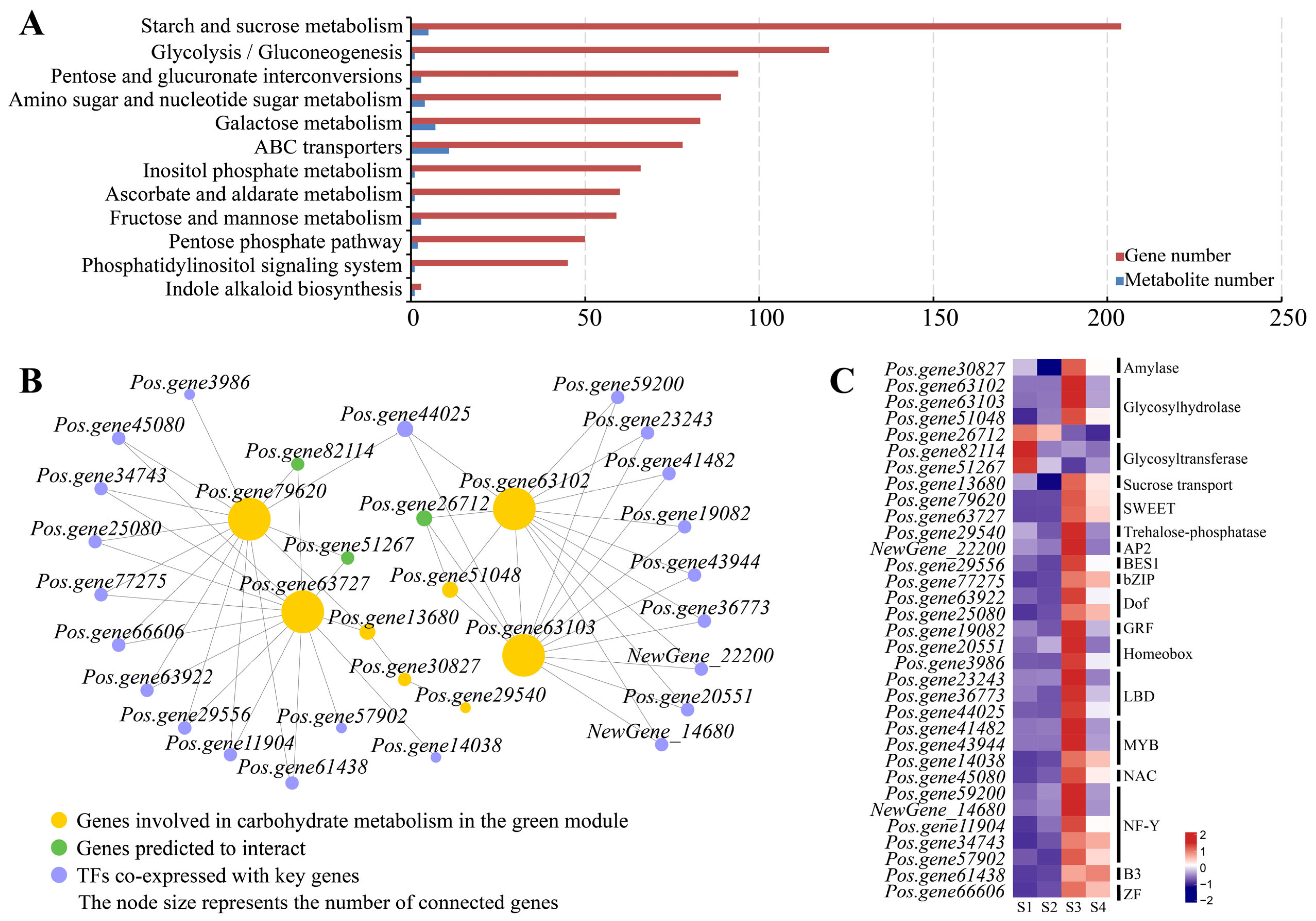 Biomolecules 16 00017 g007 Biomolecules 16 00017 g007