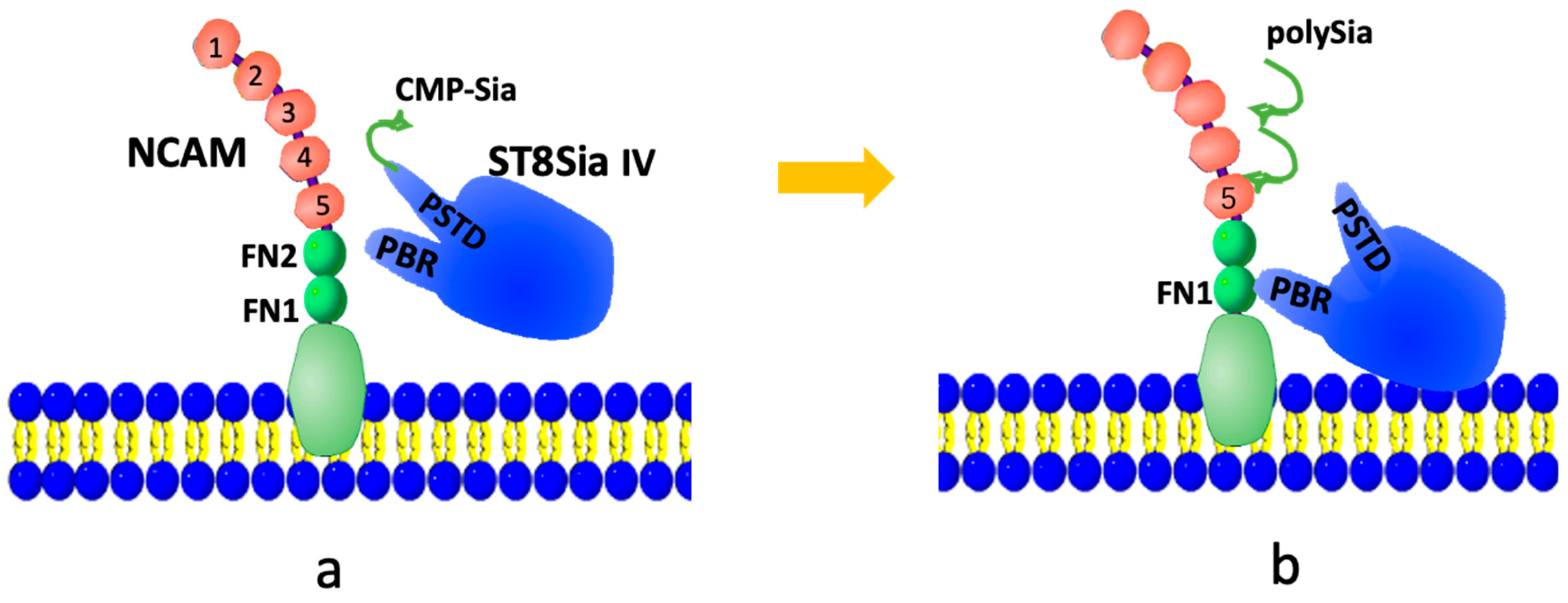 Biomolecules 16 00019 g001