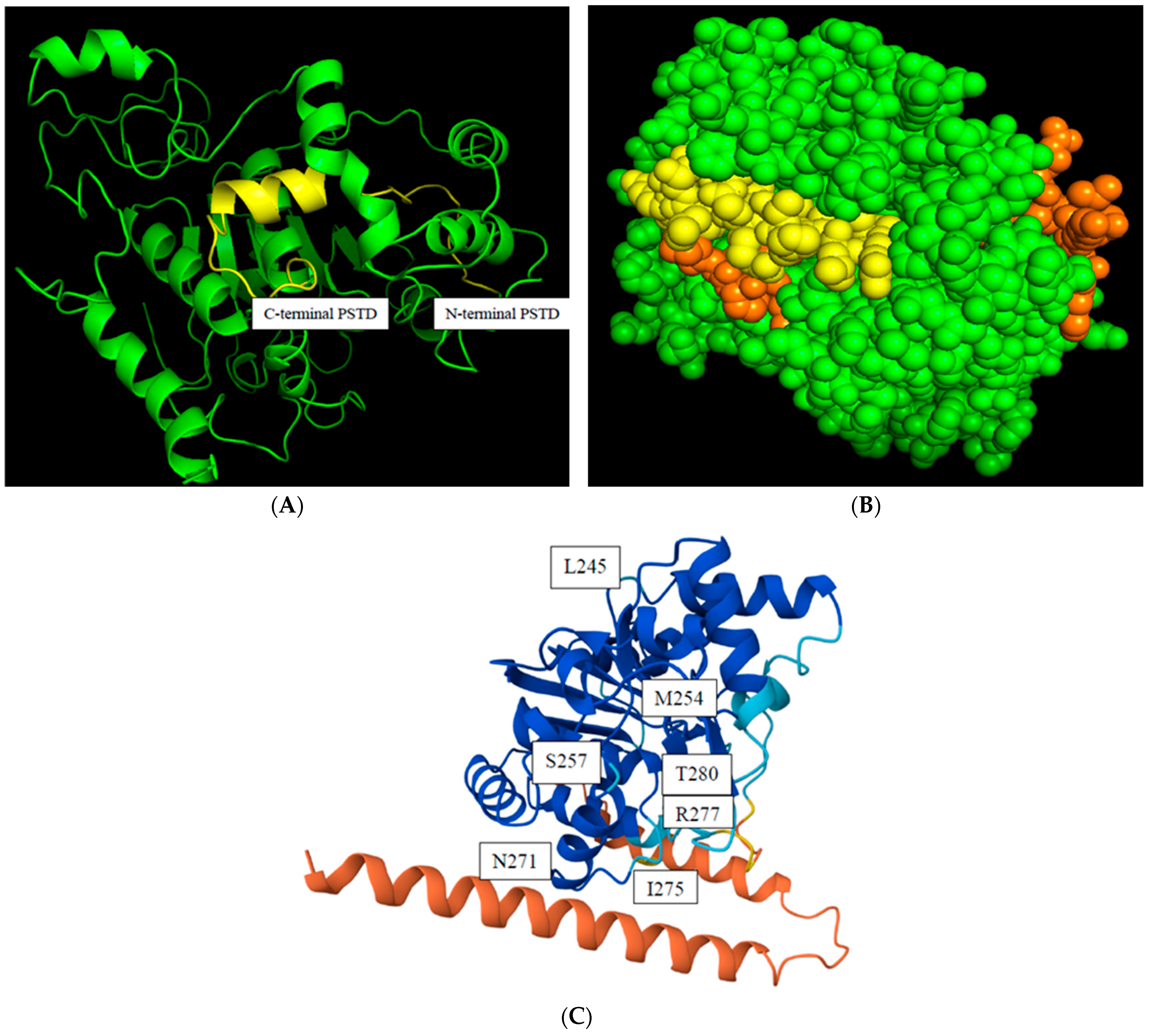 Biomolecules 16 00019 g002