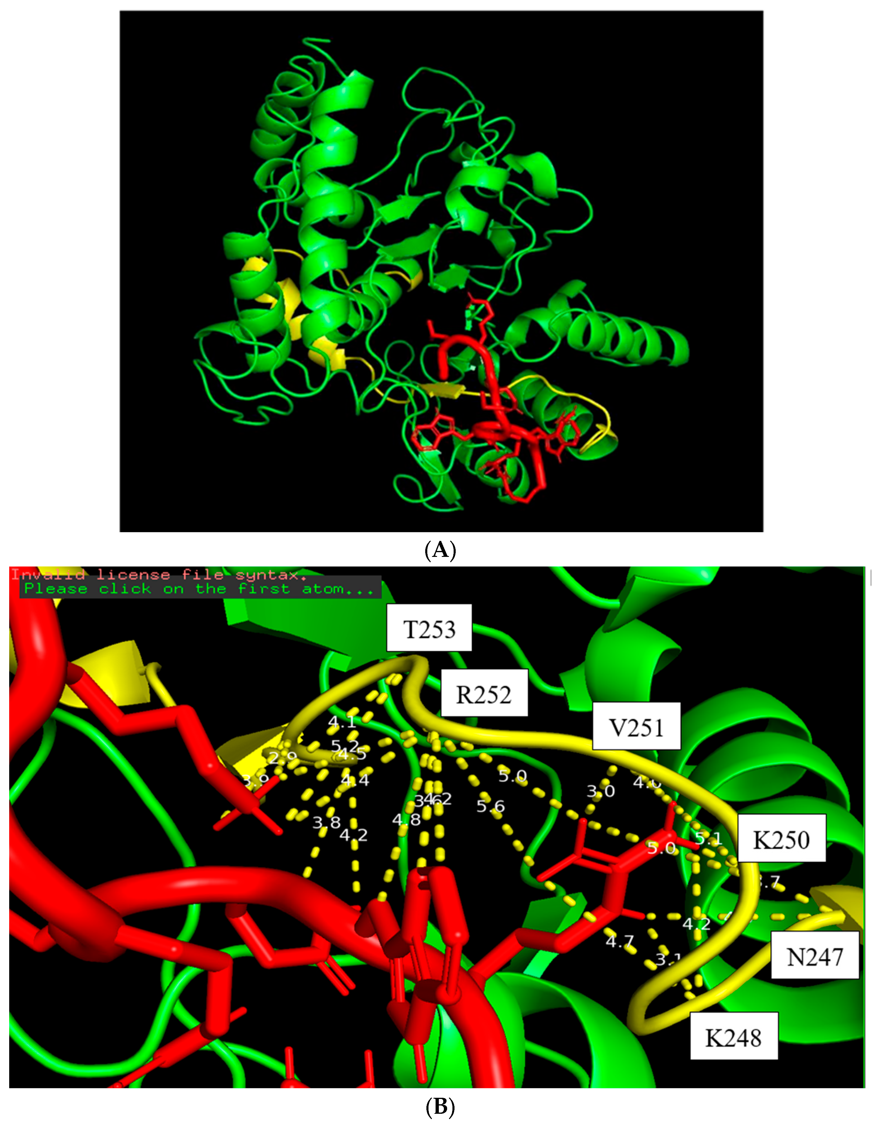 Biomolecules 16 00019 g005