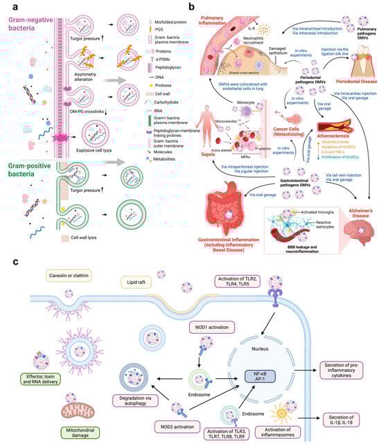 Biomolecules 16 00026 g003