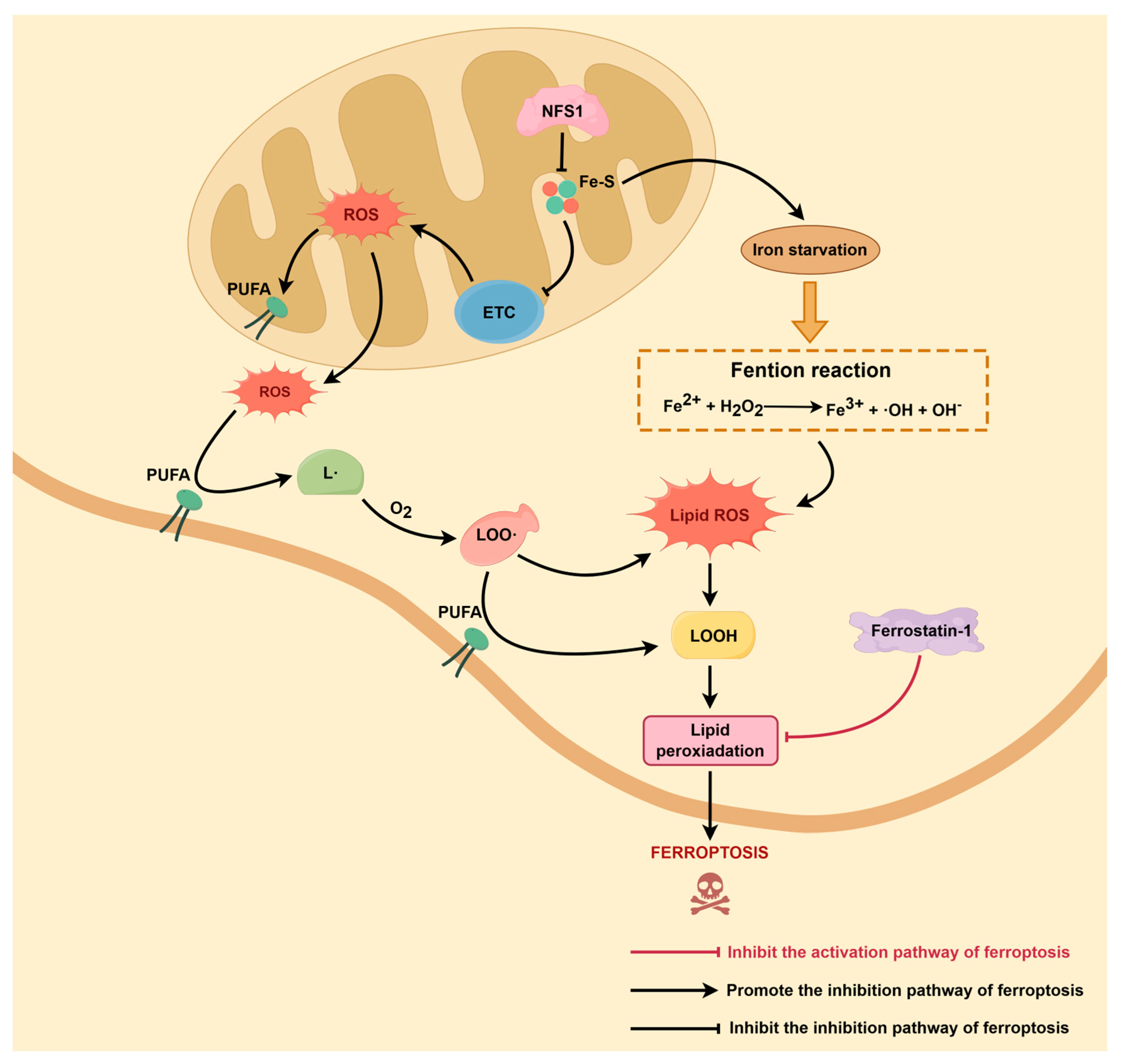 Biomolecules 16 00032 g002 Biomolecules 16 00032 g002