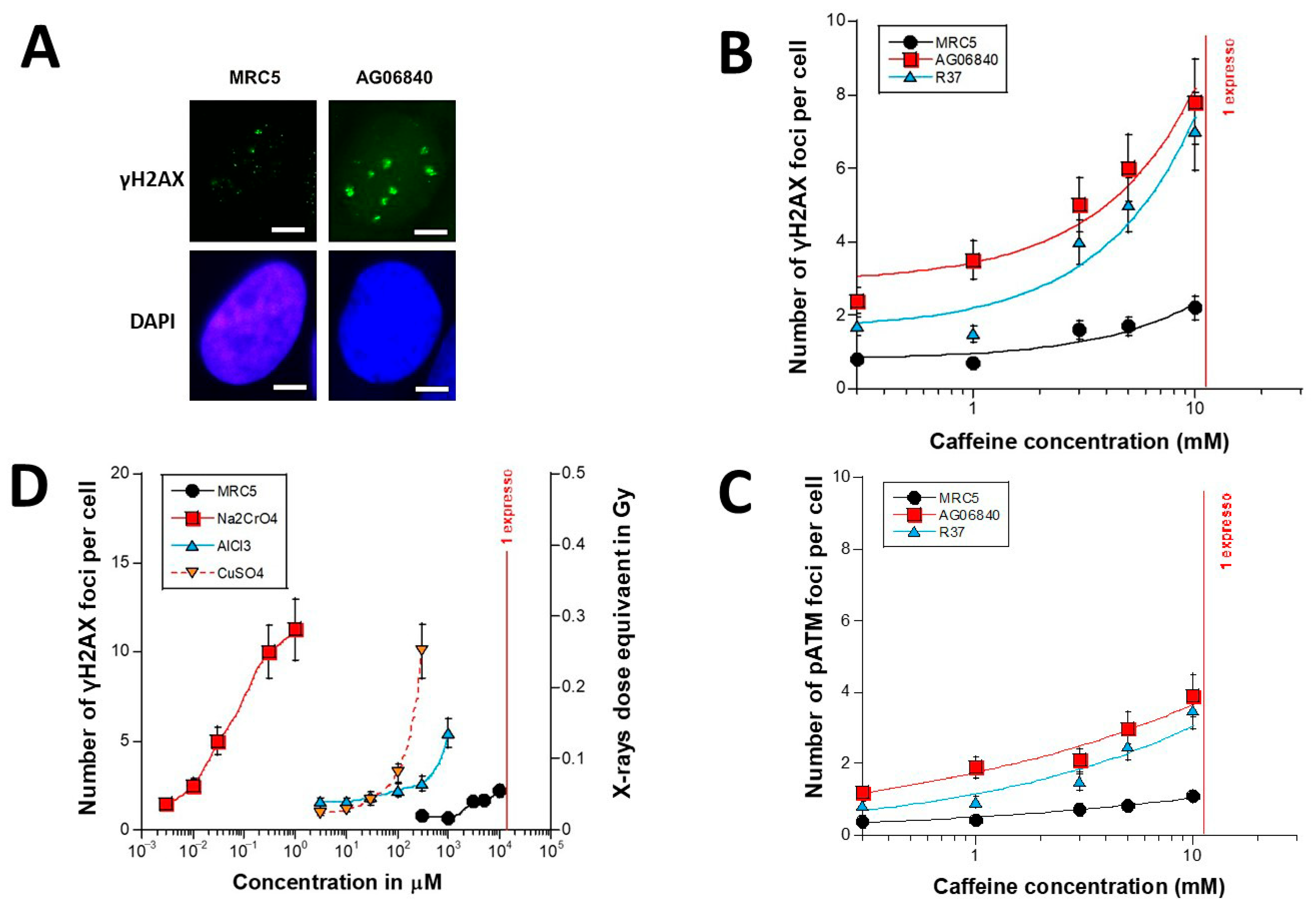Biomolecules 16 00041 g002 Biomolecules 16 00041 g002