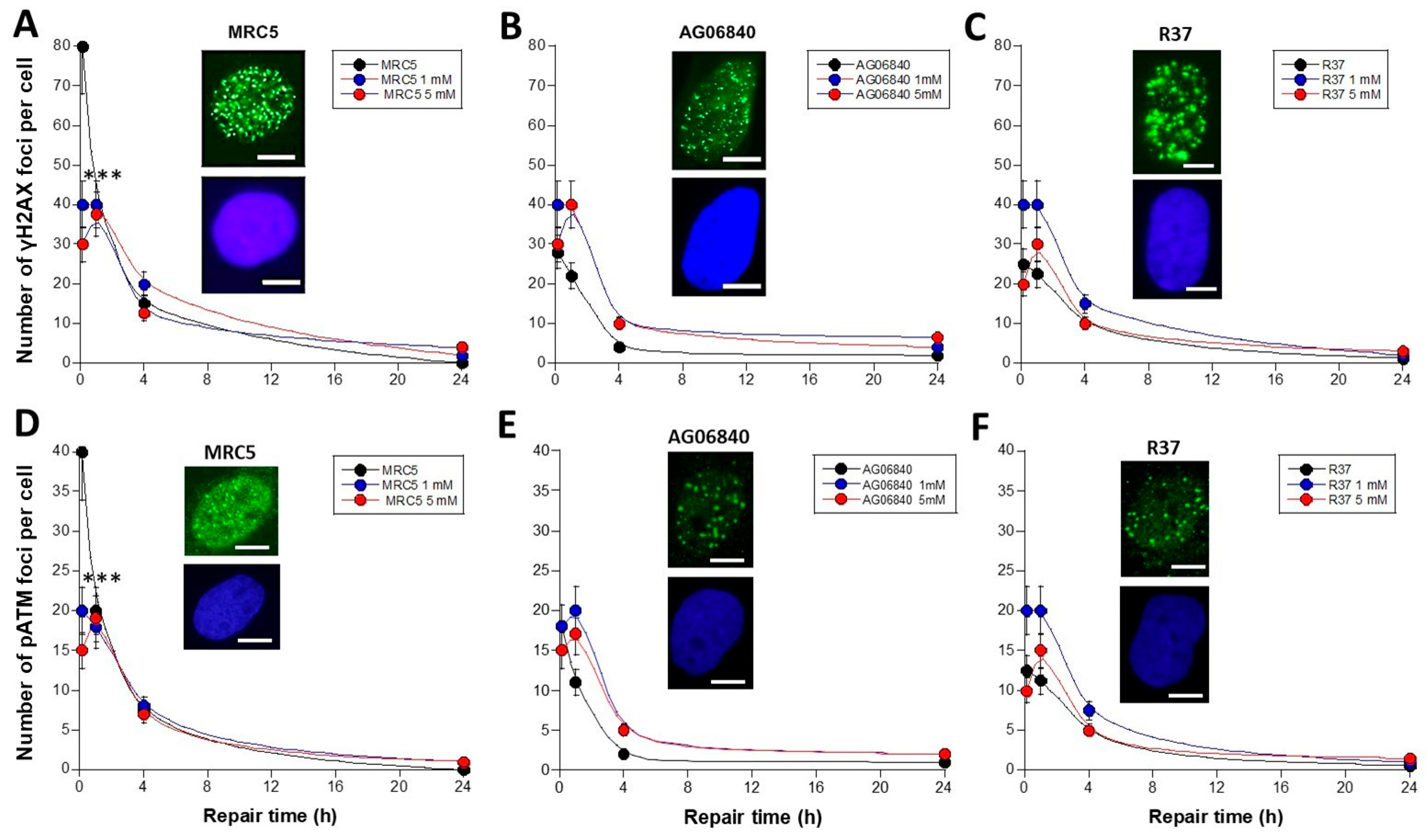 Biomolecules 16 00041 g003 Biomolecules 16 00041 g003