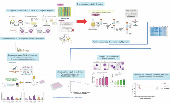 Molecular Characterization, Expression Responses and Antipathogenic ...