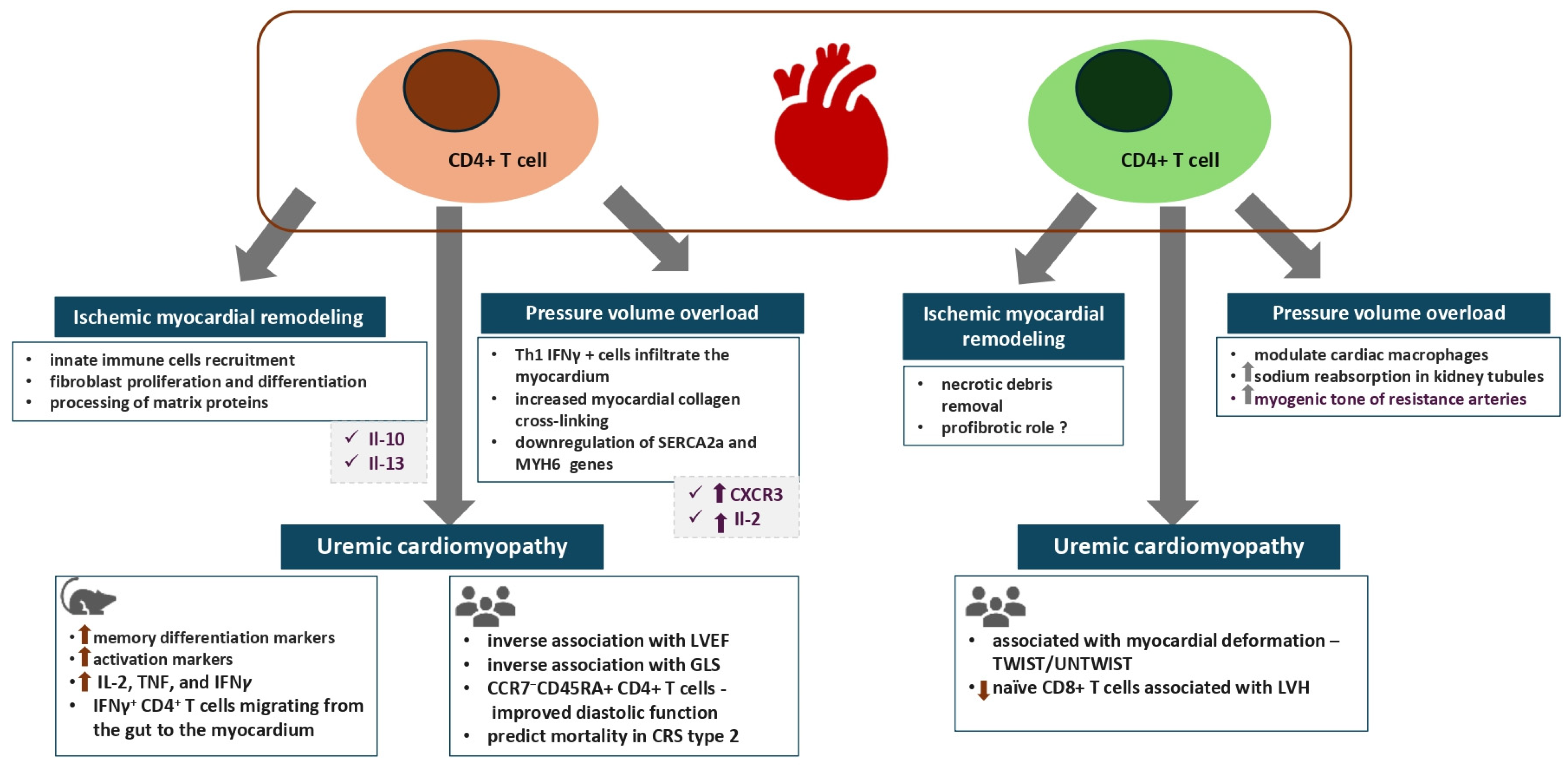 Biomolecules 16 00049 g001 Biomolecules 16 00049 g001