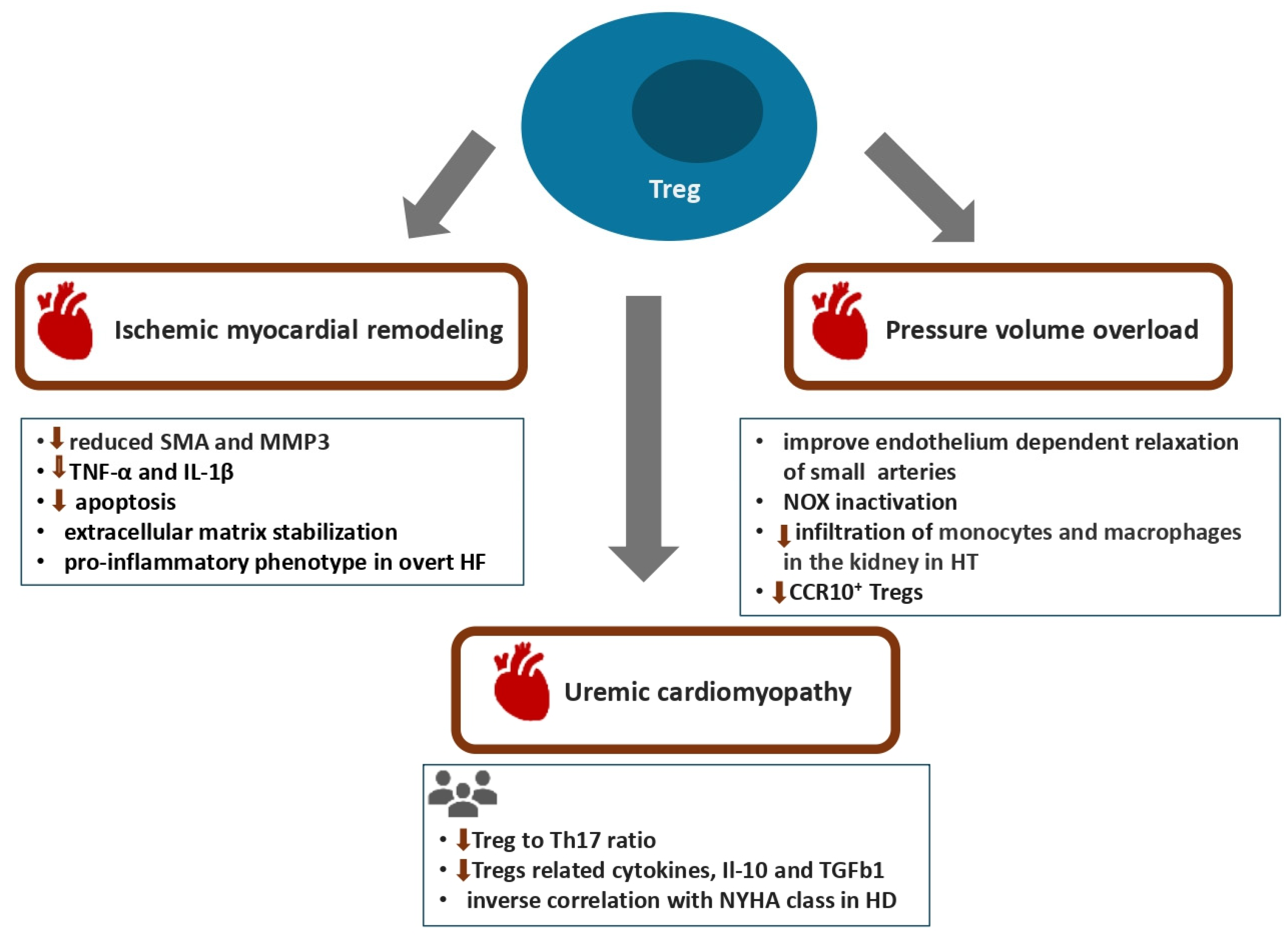 Biomolecules 16 00049 g002 Biomolecules 16 00049 g002