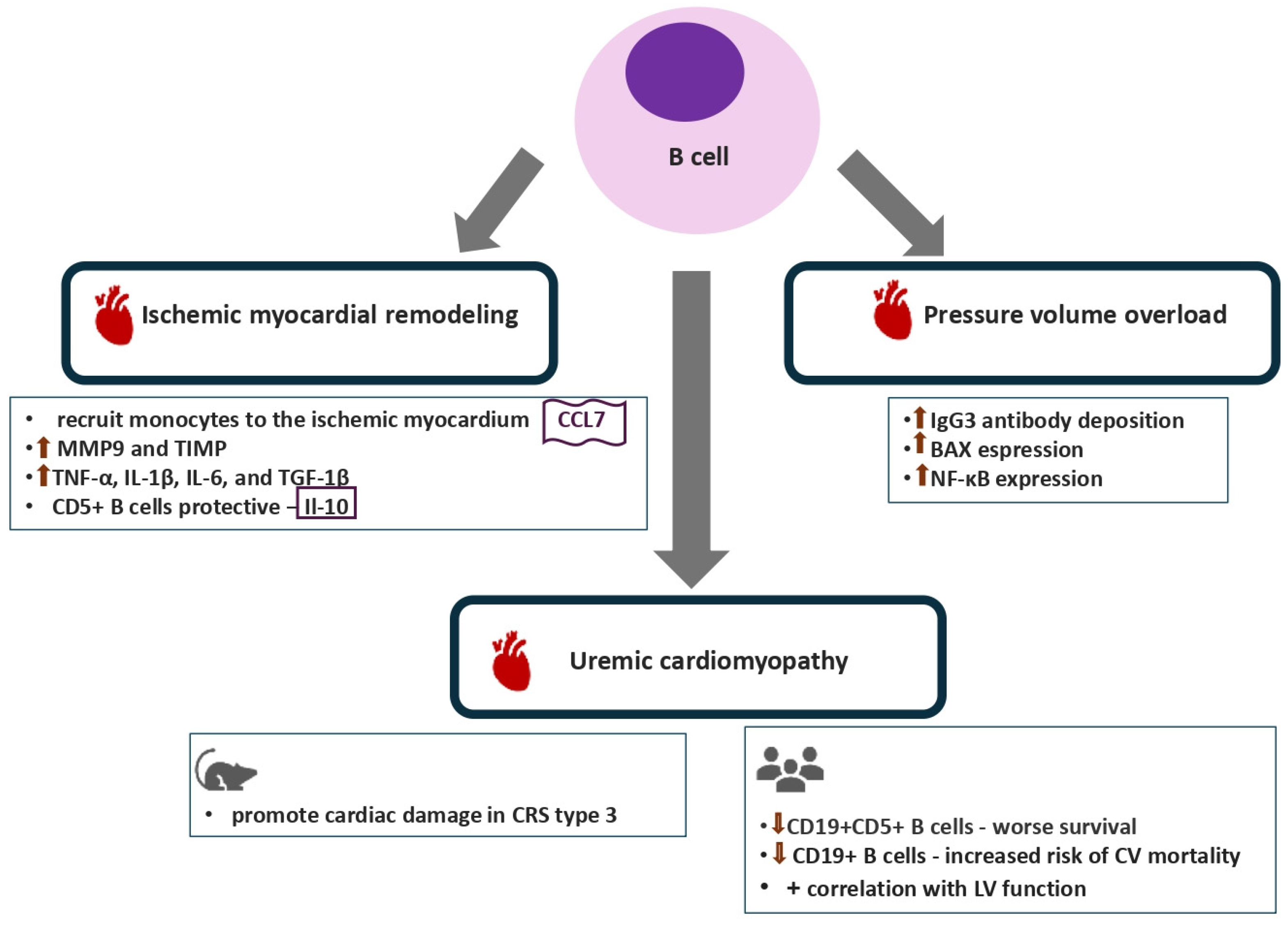 Biomolecules 16 00049 g003 Biomolecules 16 00049 g003
