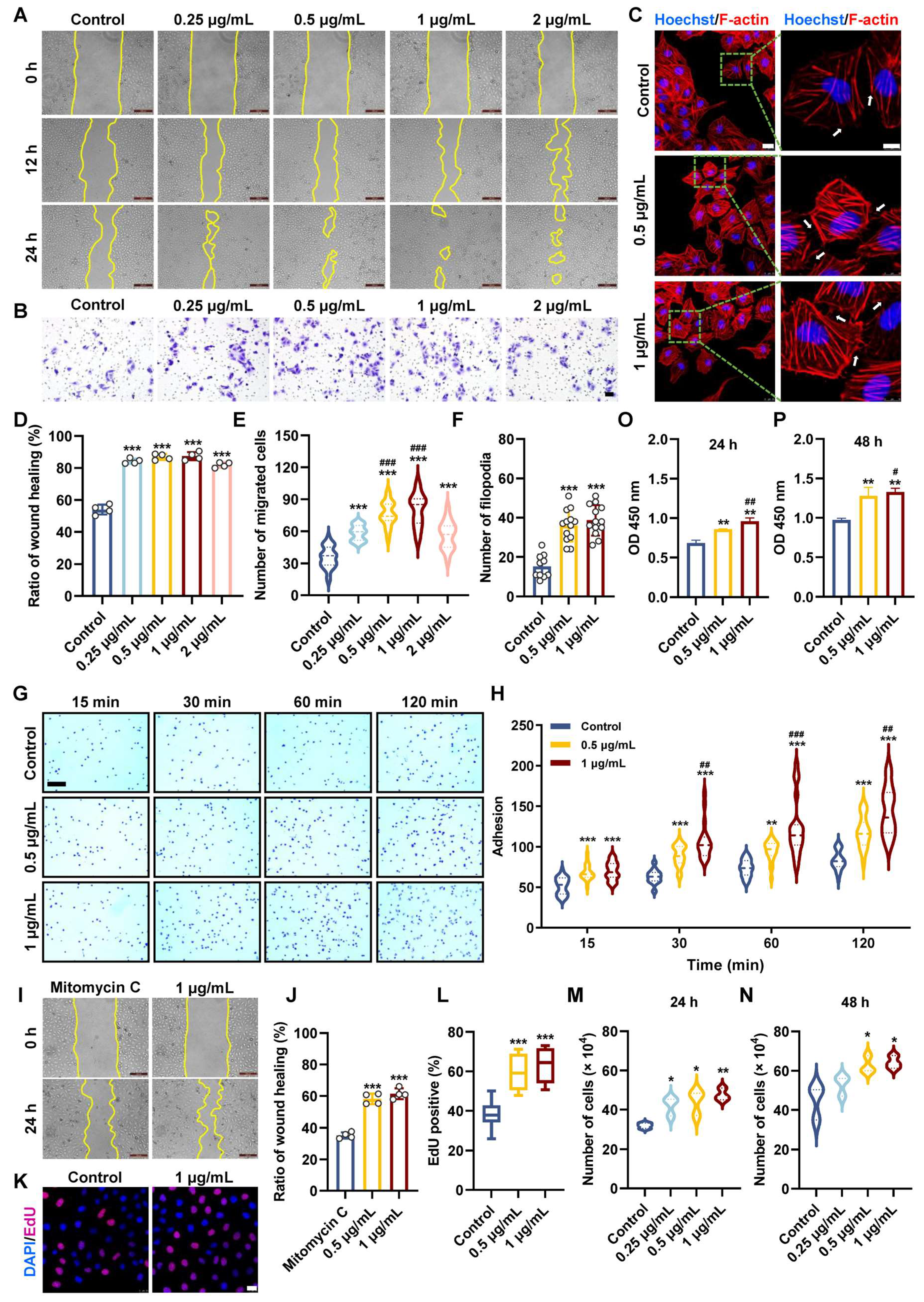 Biomolecules 16 00065 g001 Biomolecules 16 00065 g001