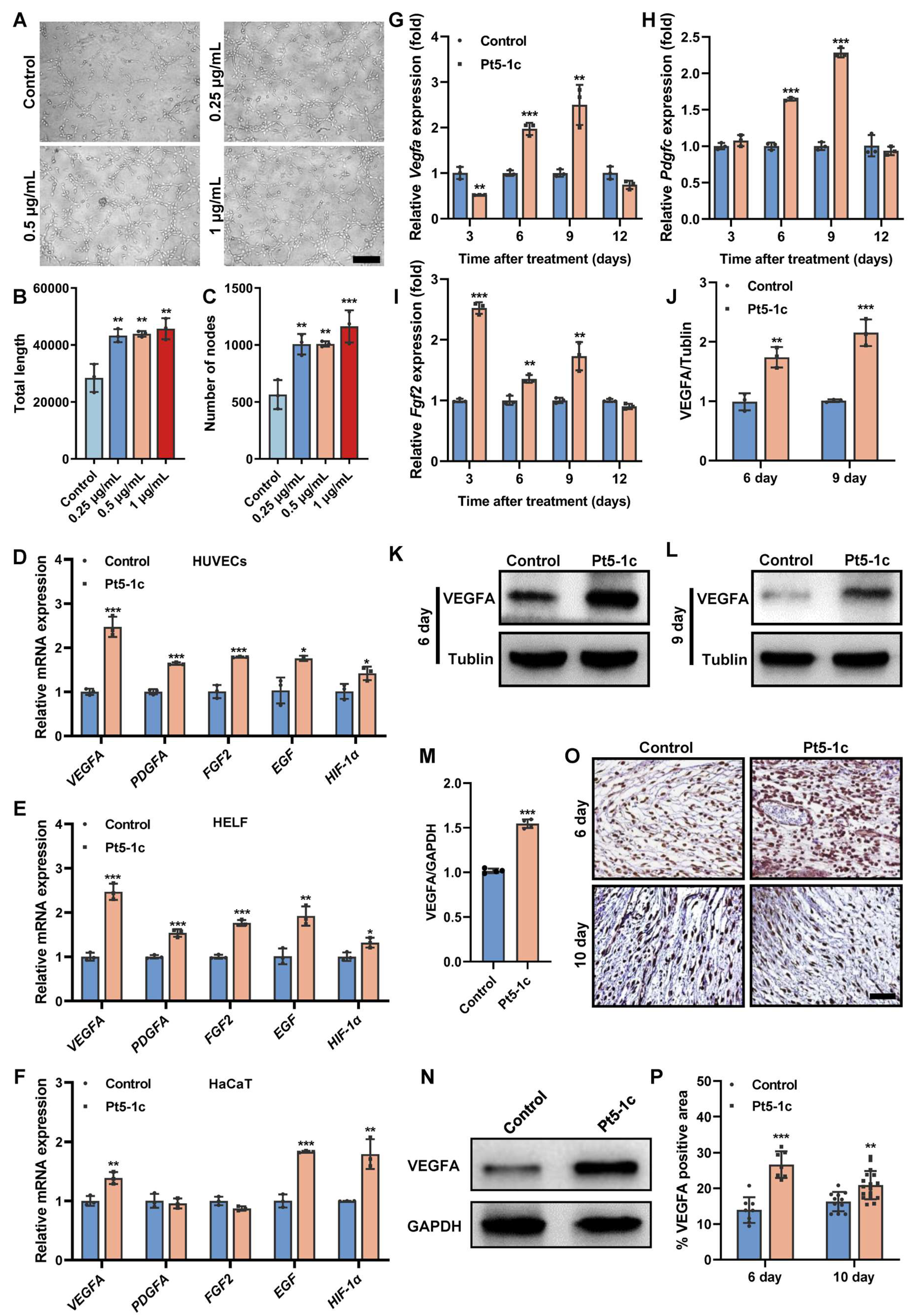 Biomolecules 16 00065 g002 Biomolecules 16 00065 g002