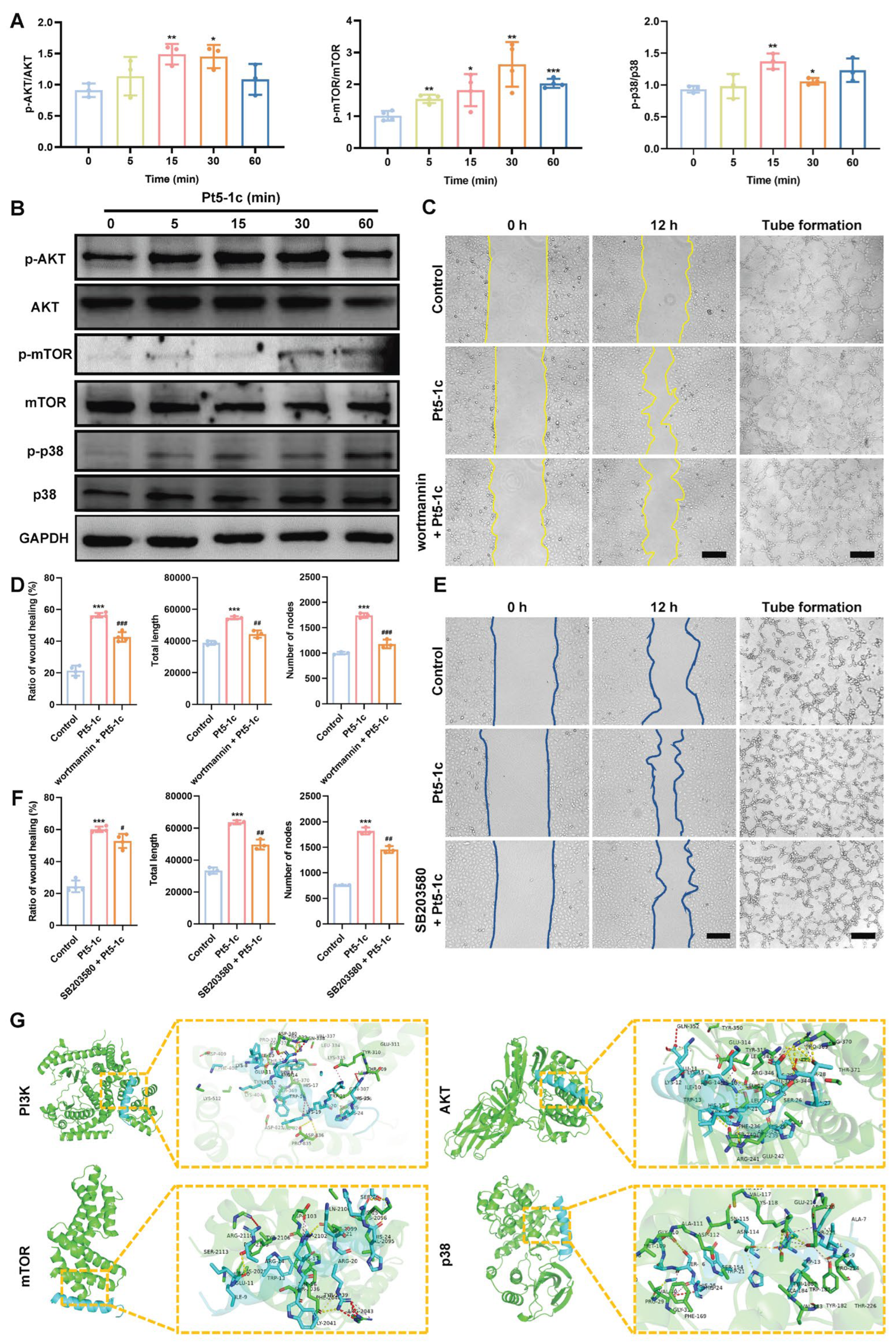 Biomolecules 16 00065 g005 Biomolecules 16 00065 g005