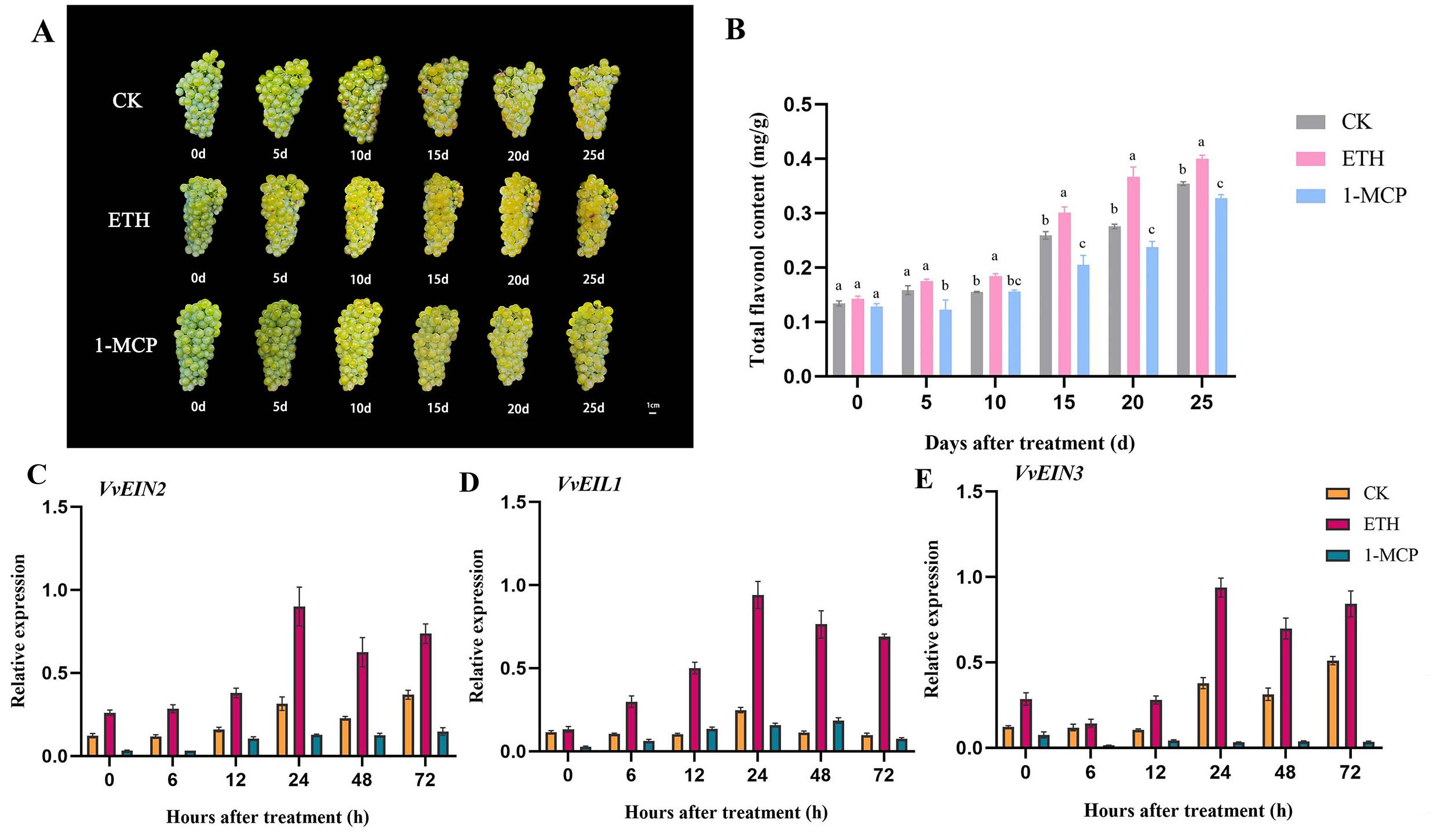 Biomolecules 16 00069 g001 Biomolecules 16 00069 g001