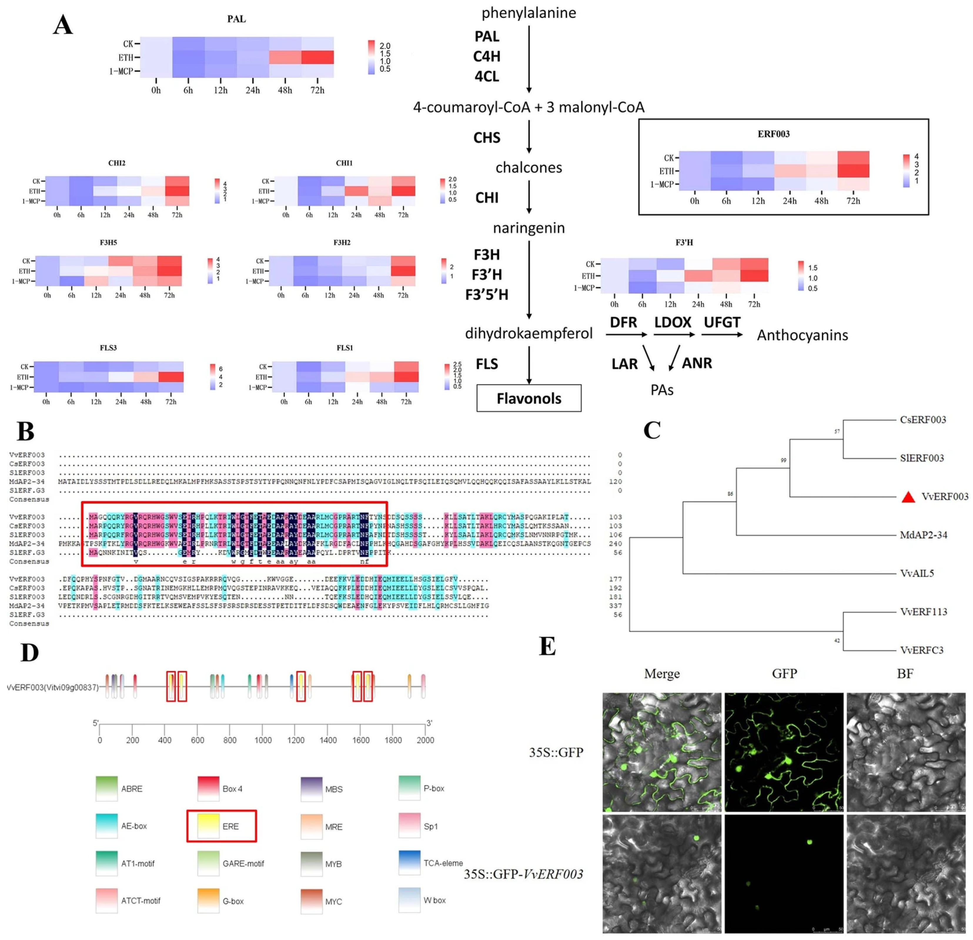 Biomolecules 16 00069 g004 Biomolecules 16 00069 g004