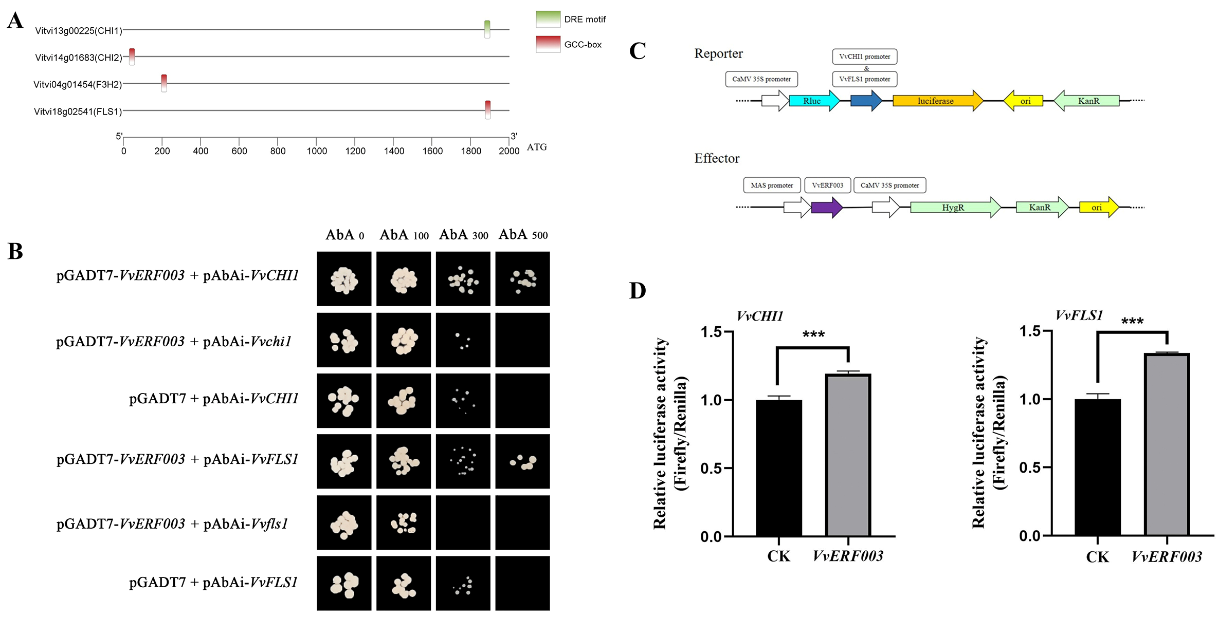 Biomolecules 16 00069 g006 Biomolecules 16 00069 g006