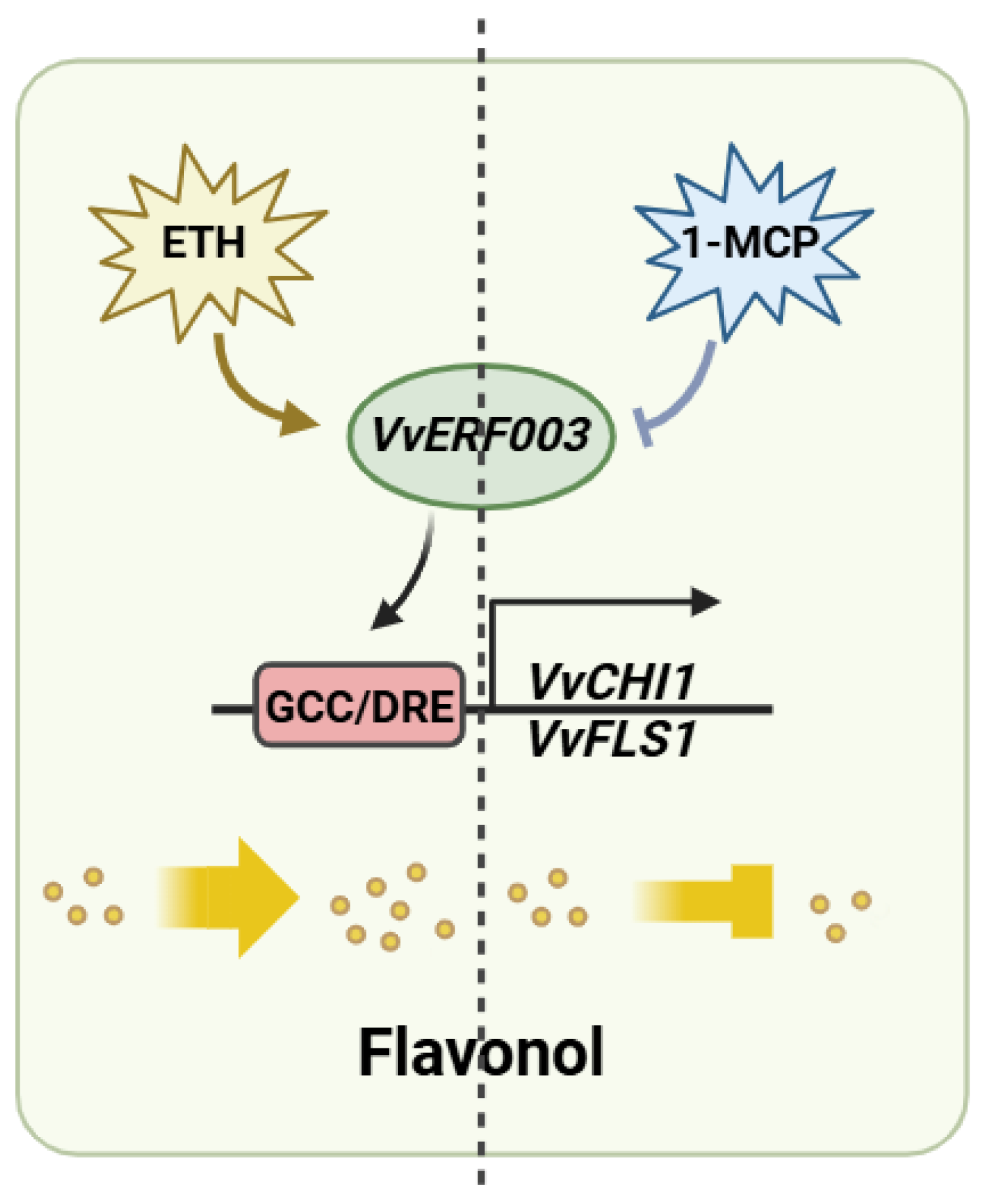 Biomolecules 16 00069 g007 Biomolecules 16 00069 g007