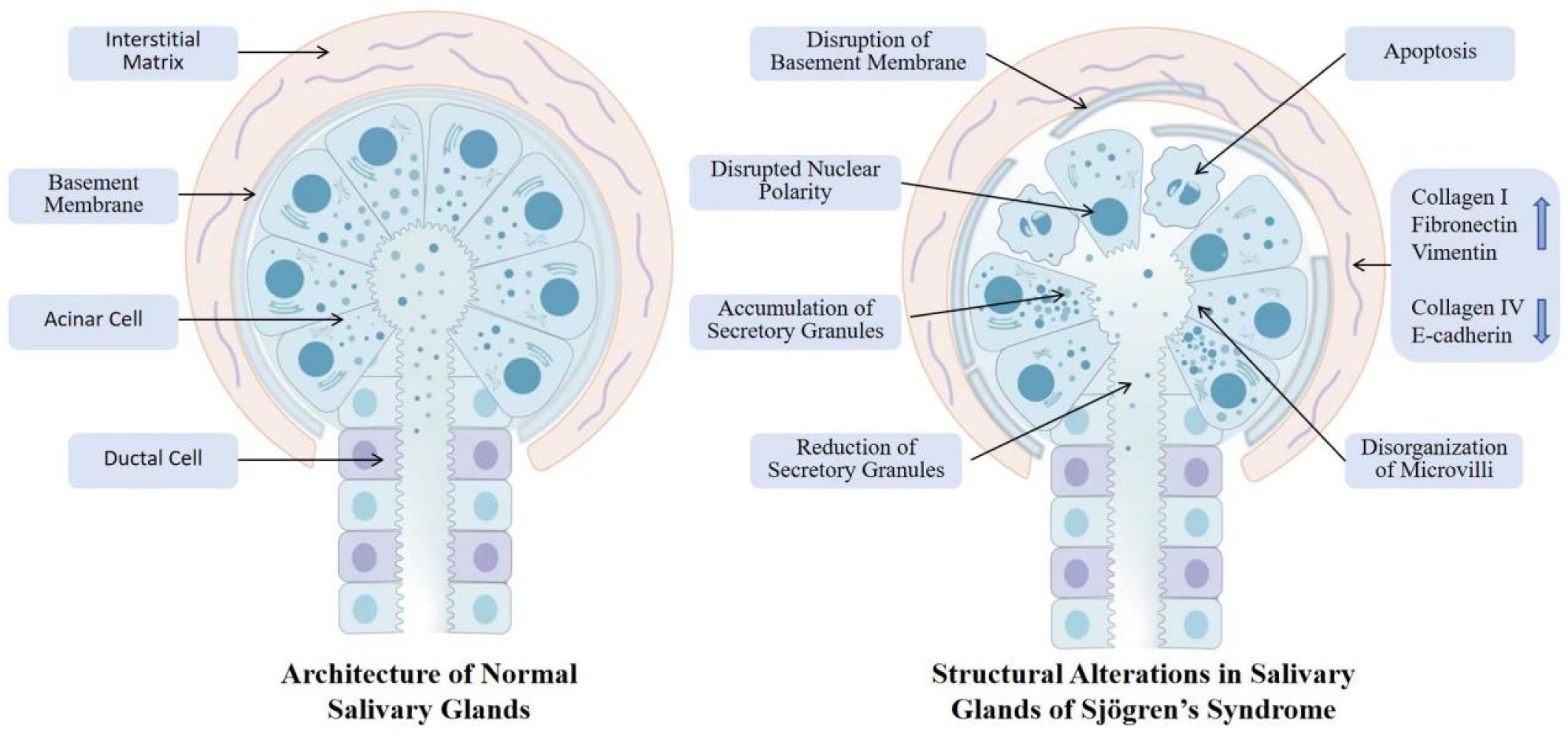 Biomolecules 16 00072 g002