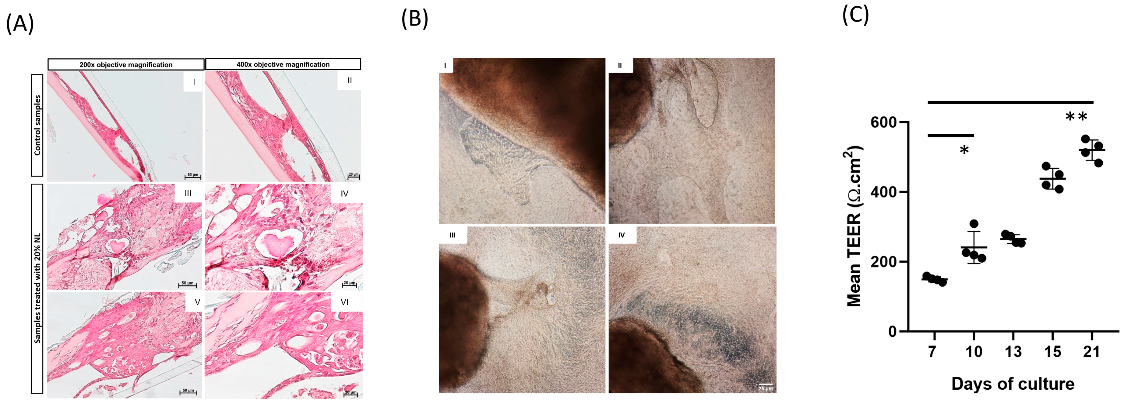 Biomolecules 16 00077 g004