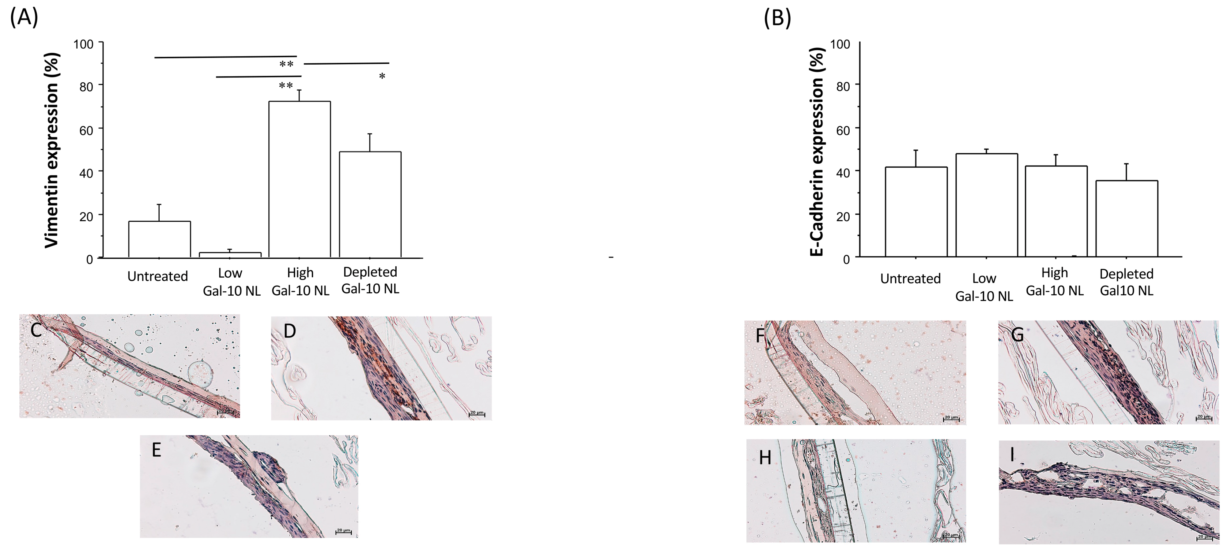 Biomolecules 16 00077 g005