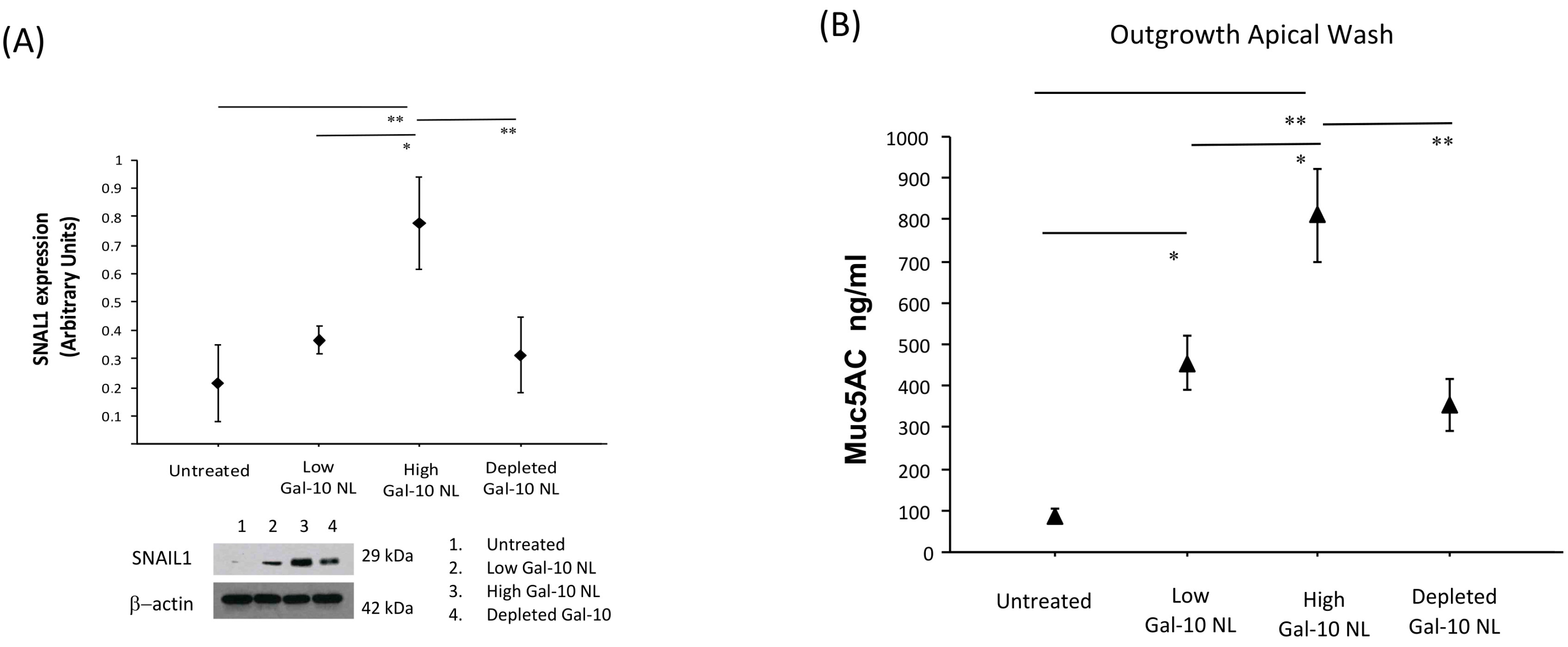 Biomolecules 16 00077 g006