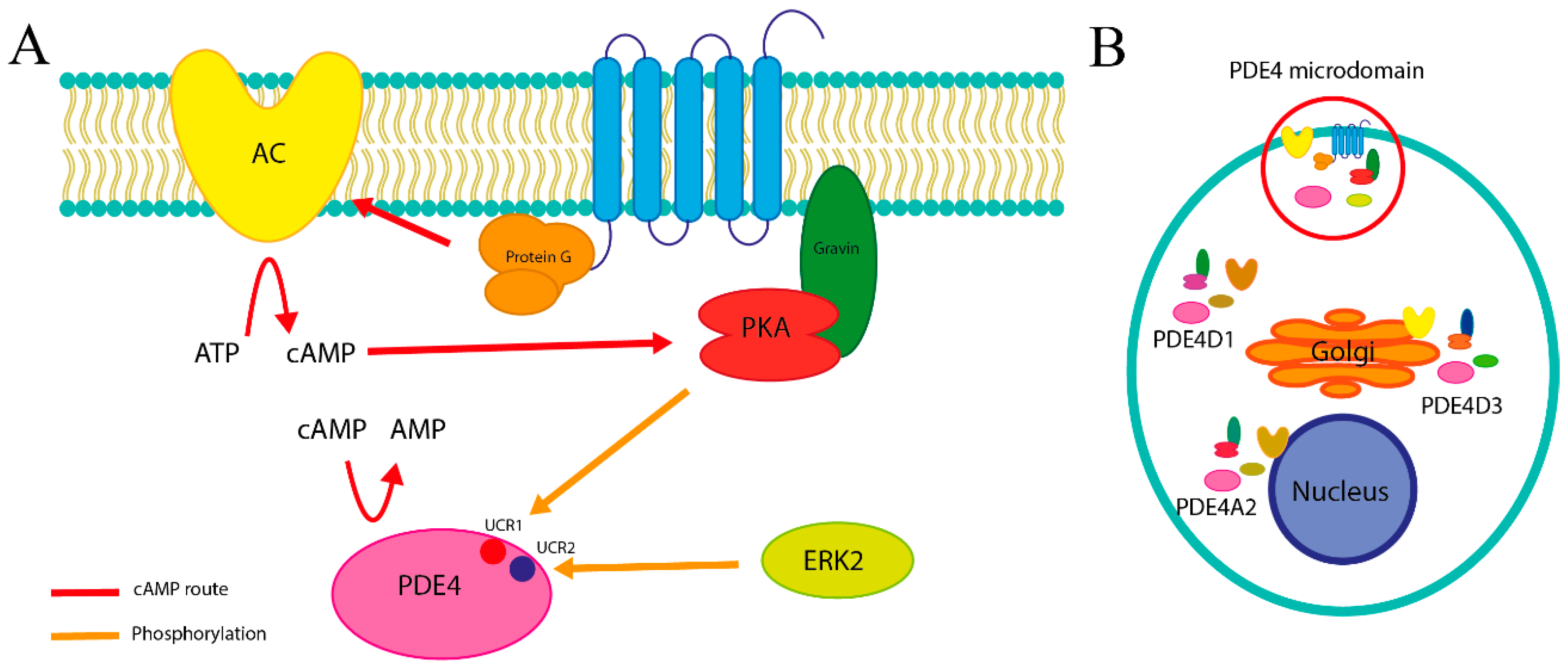Biomolecules 16 00079 g001