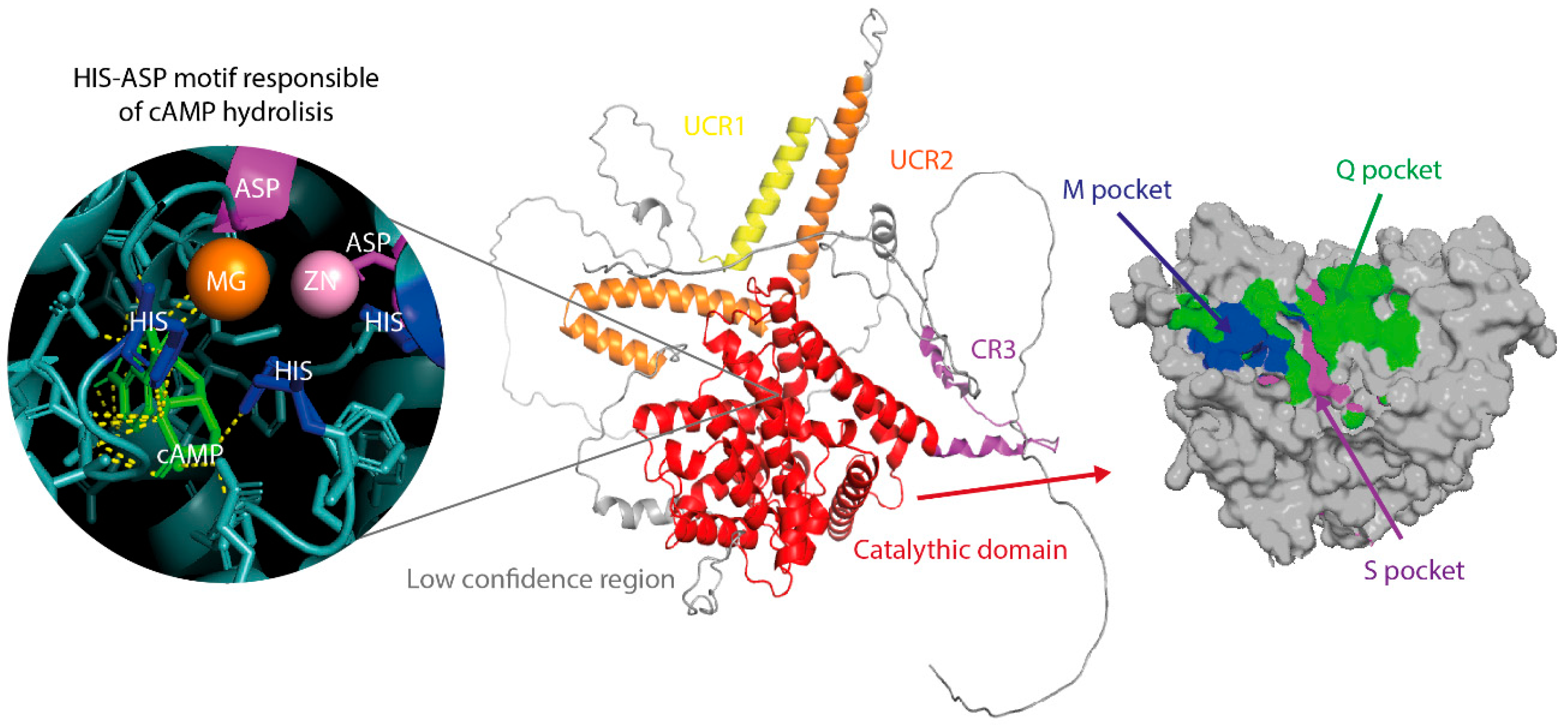 Biomolecules 16 00079 g002
