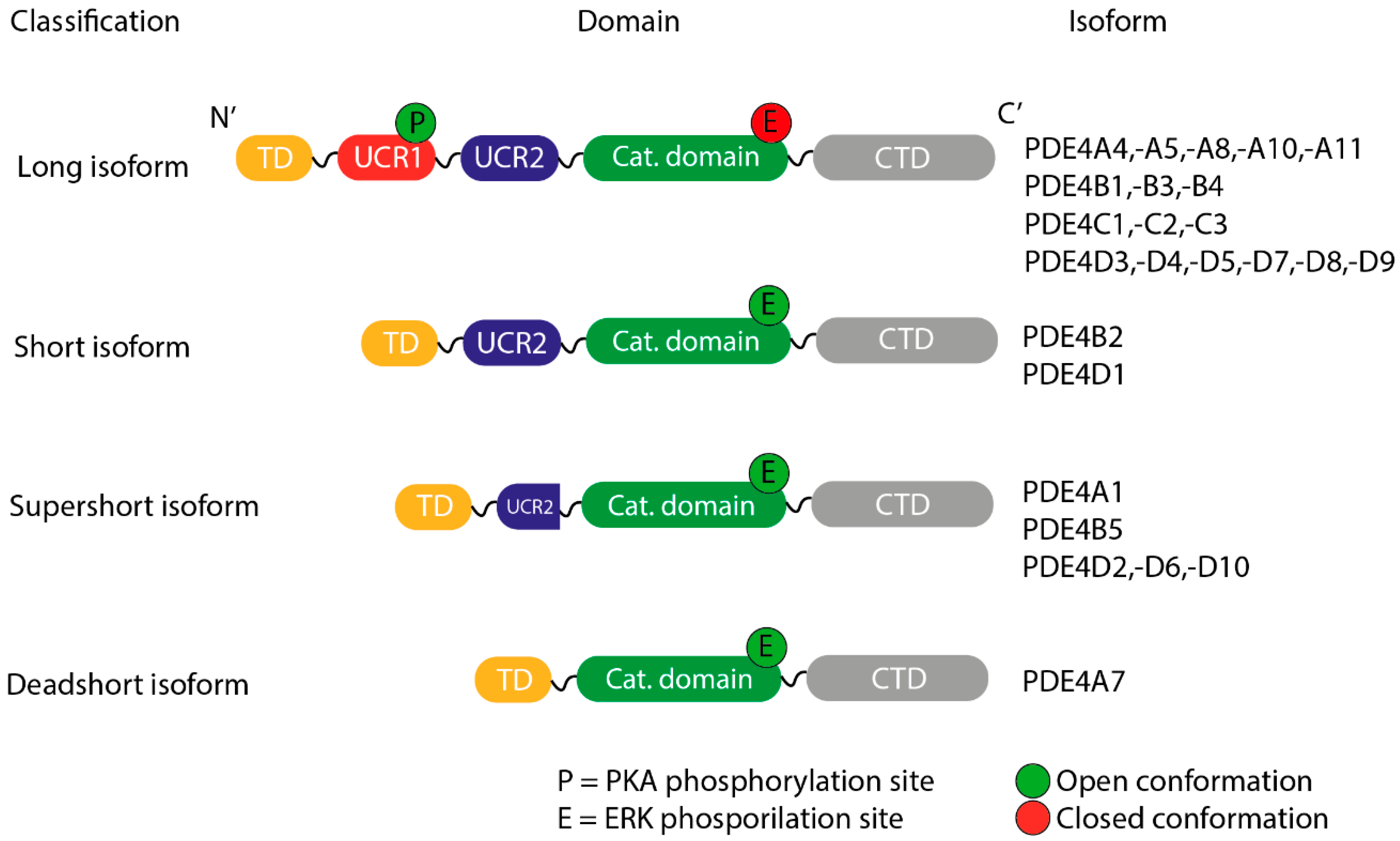 Biomolecules 16 00079 g005