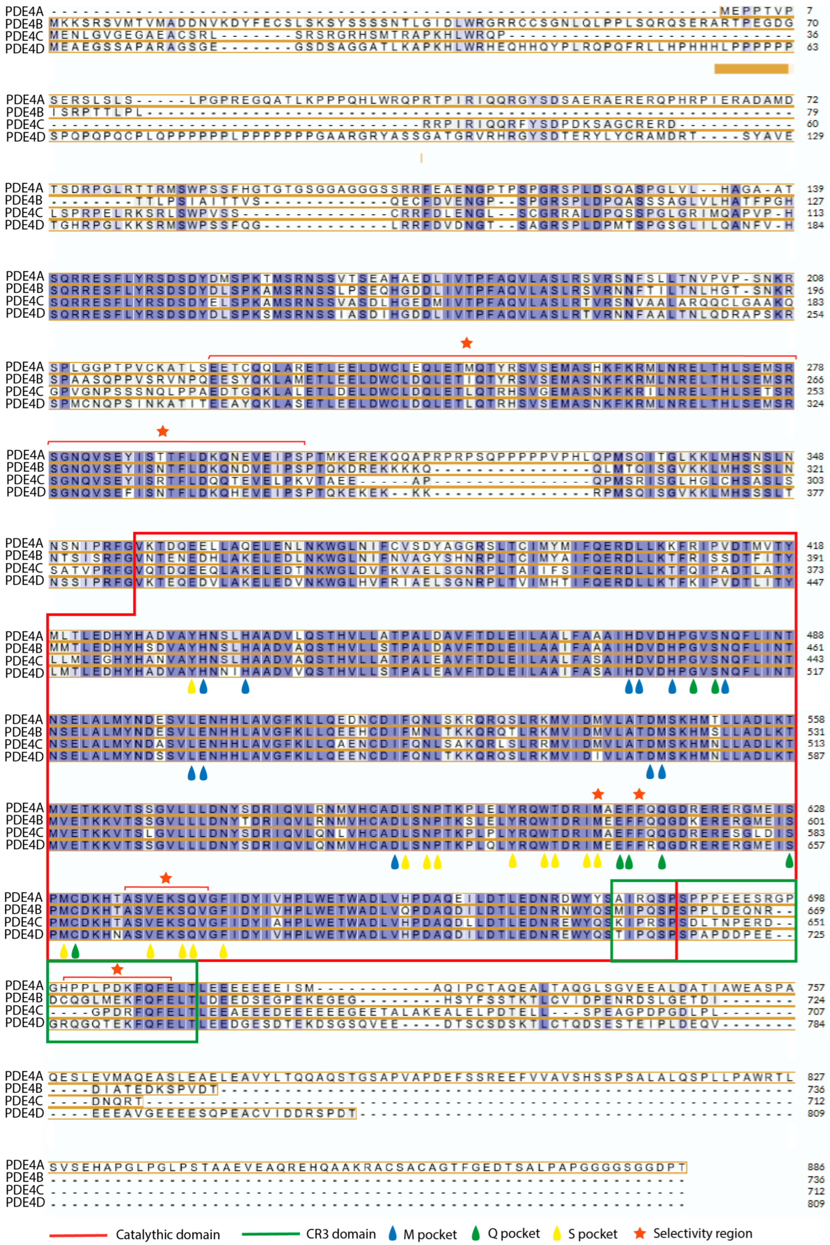 Biomolecules 16 00079 g006