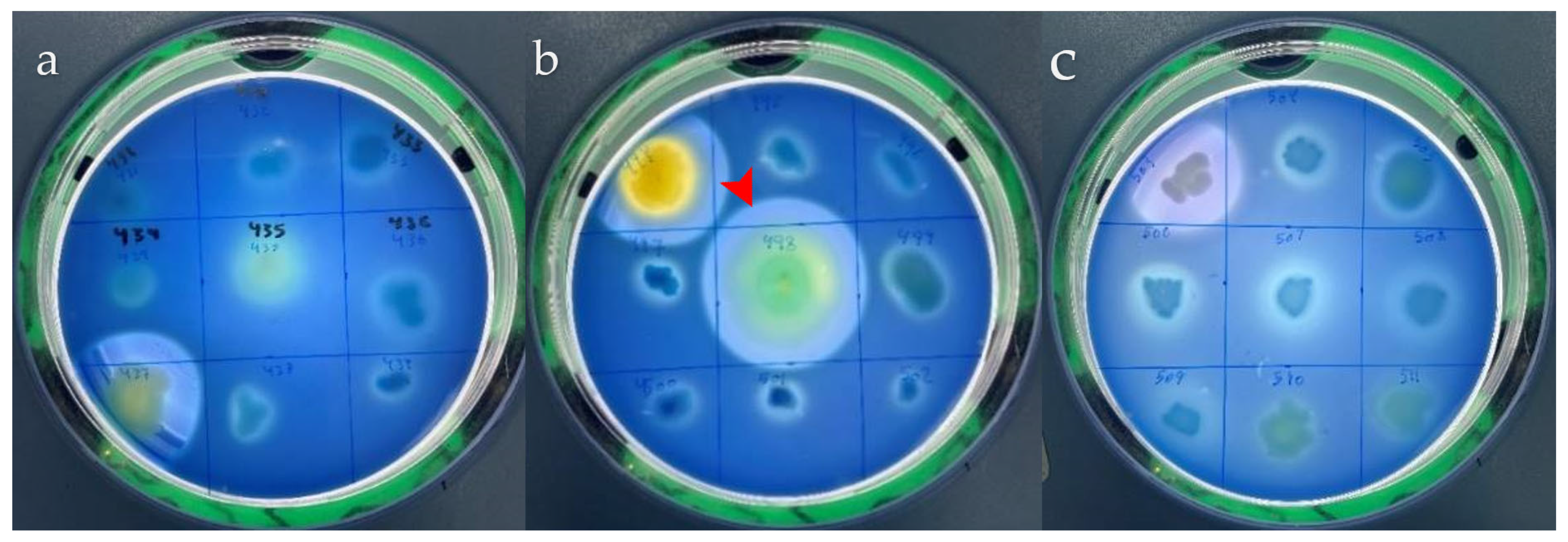 Biomolecules 16 00082 g002 Biomolecules 16 00082 g002