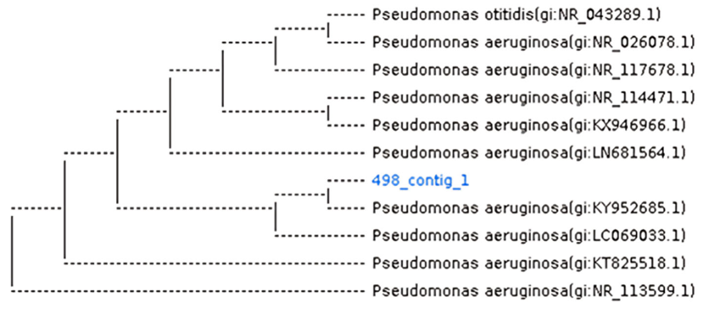 Biomolecules 16 00082 g003 Biomolecules 16 00082 g003