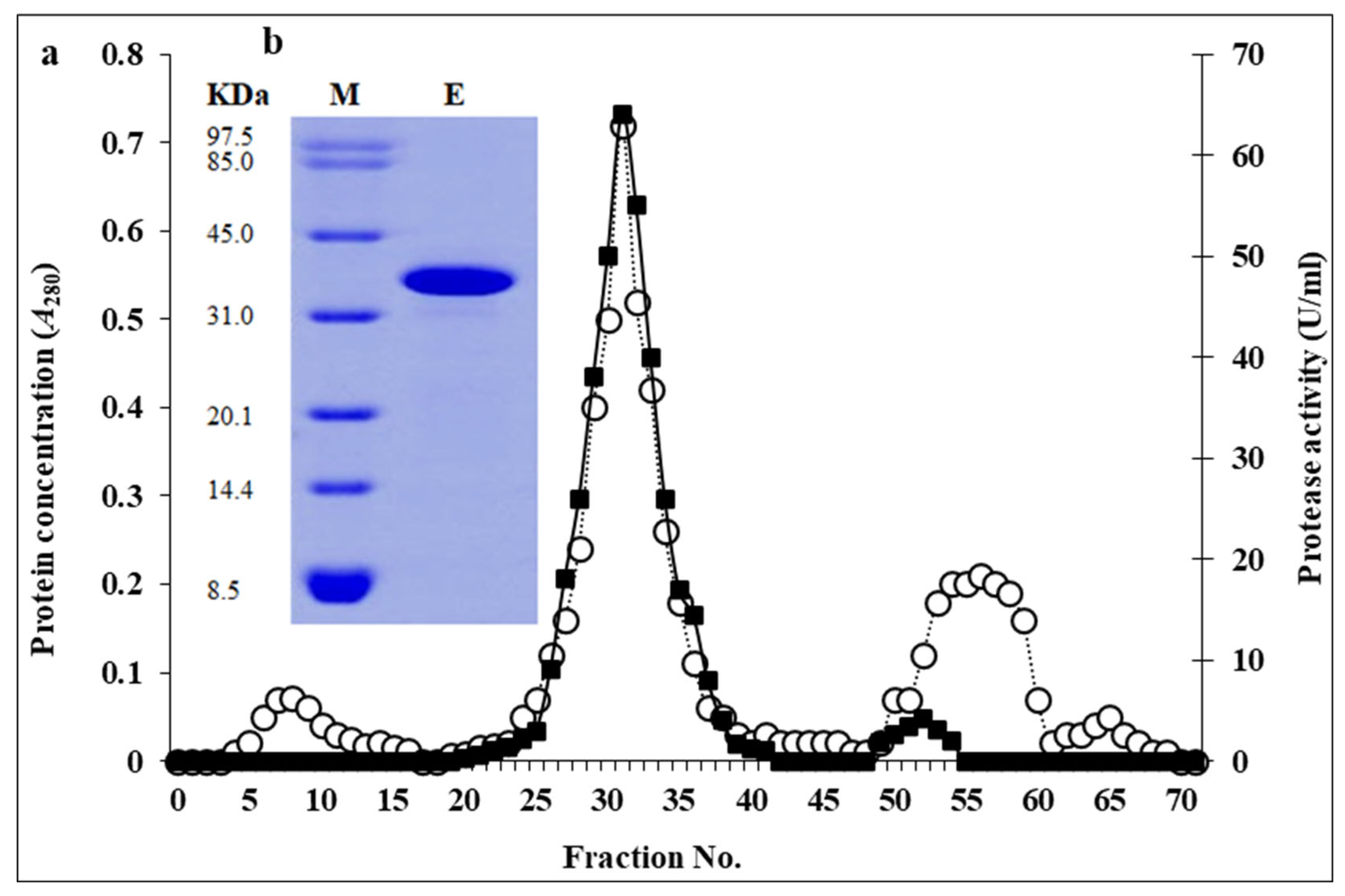 Biomolecules 16 00082 g004 Biomolecules 16 00082 g004