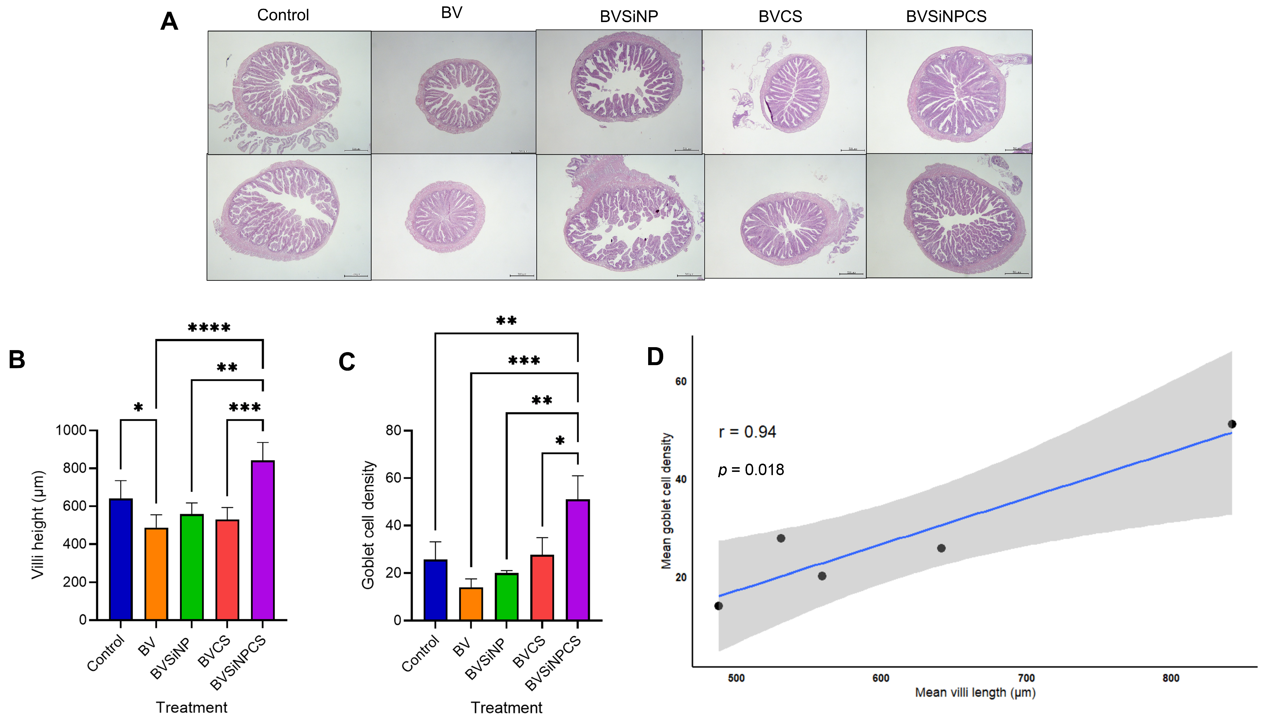 Biomolecules 16 00088 g011 Biomolecules 16 00088 g011