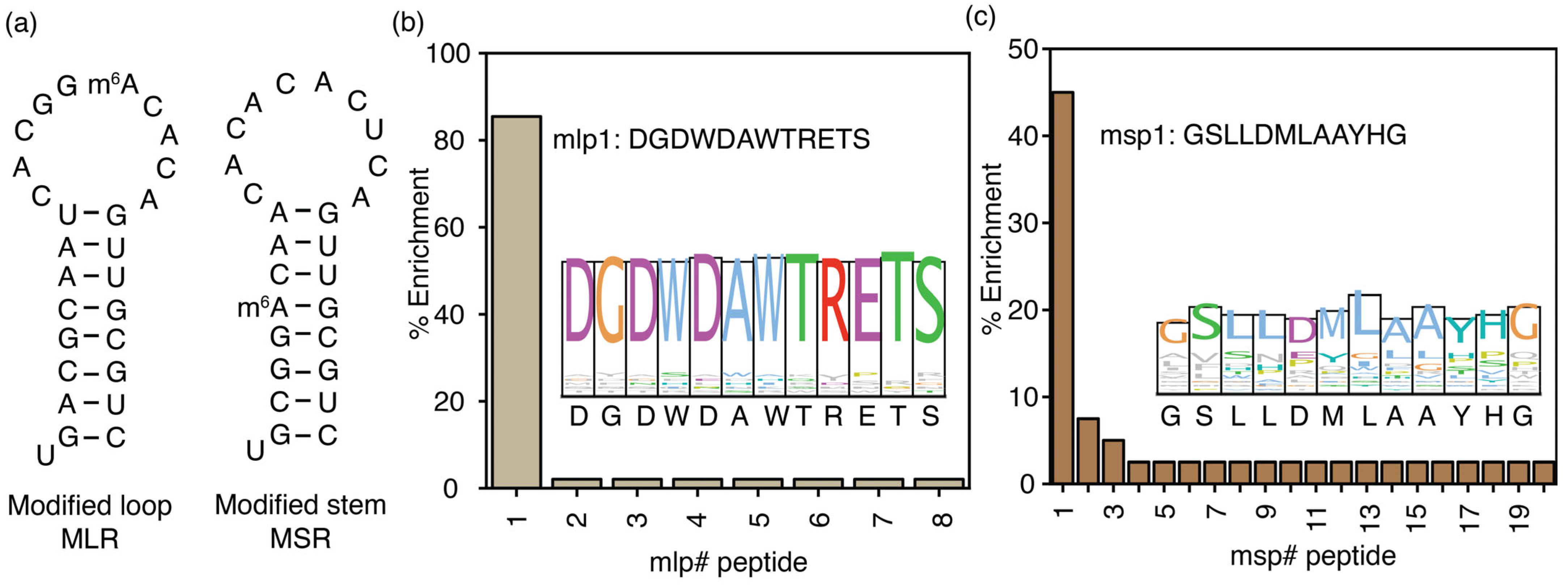 Biomolecules 16 00097 g004