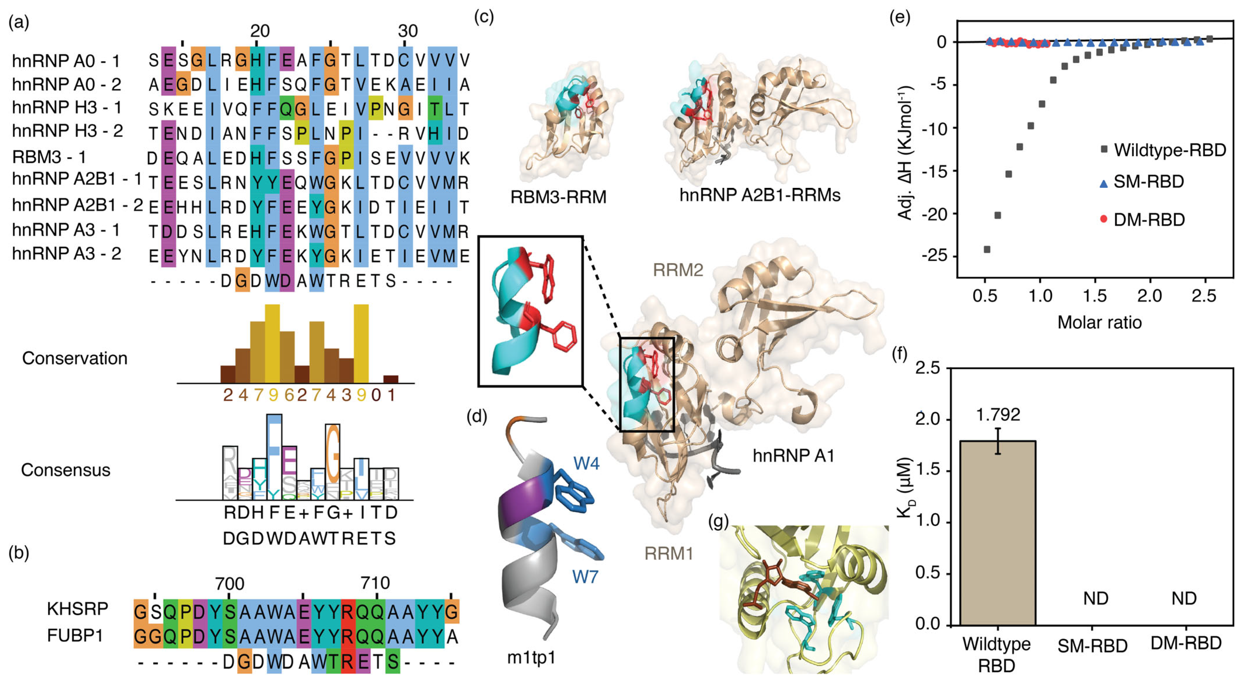 Biomolecules 16 00097 g007