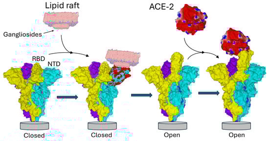 Biomolecules 16 00111 g001