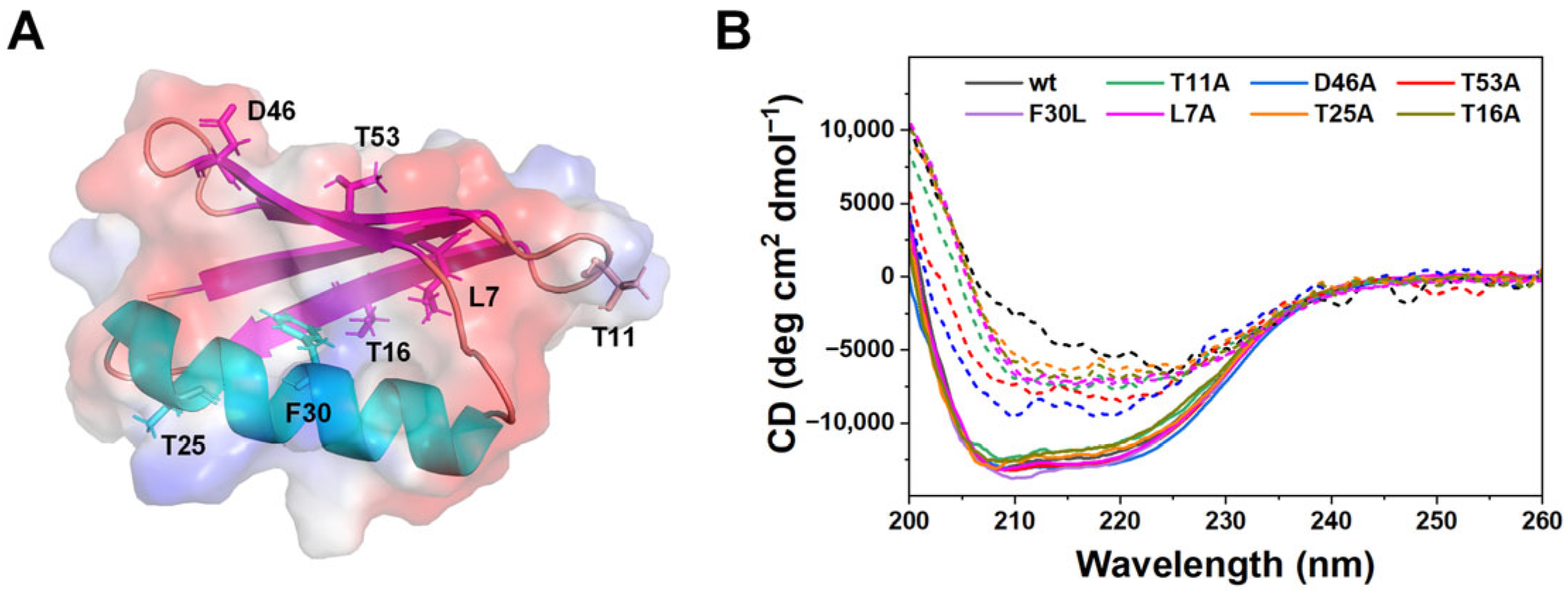 Biomolecules 16 00114 g001