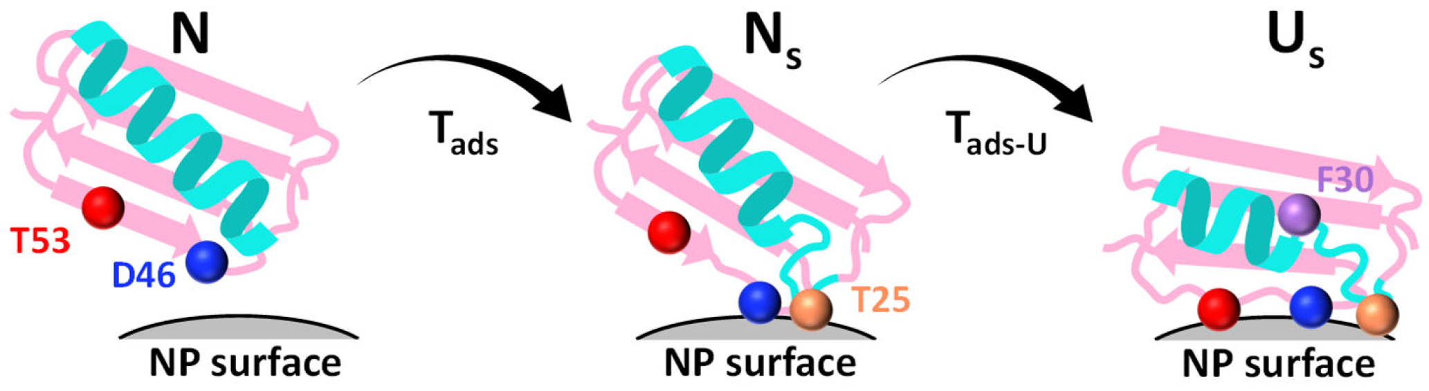 Biomolecules 16 00114 g005