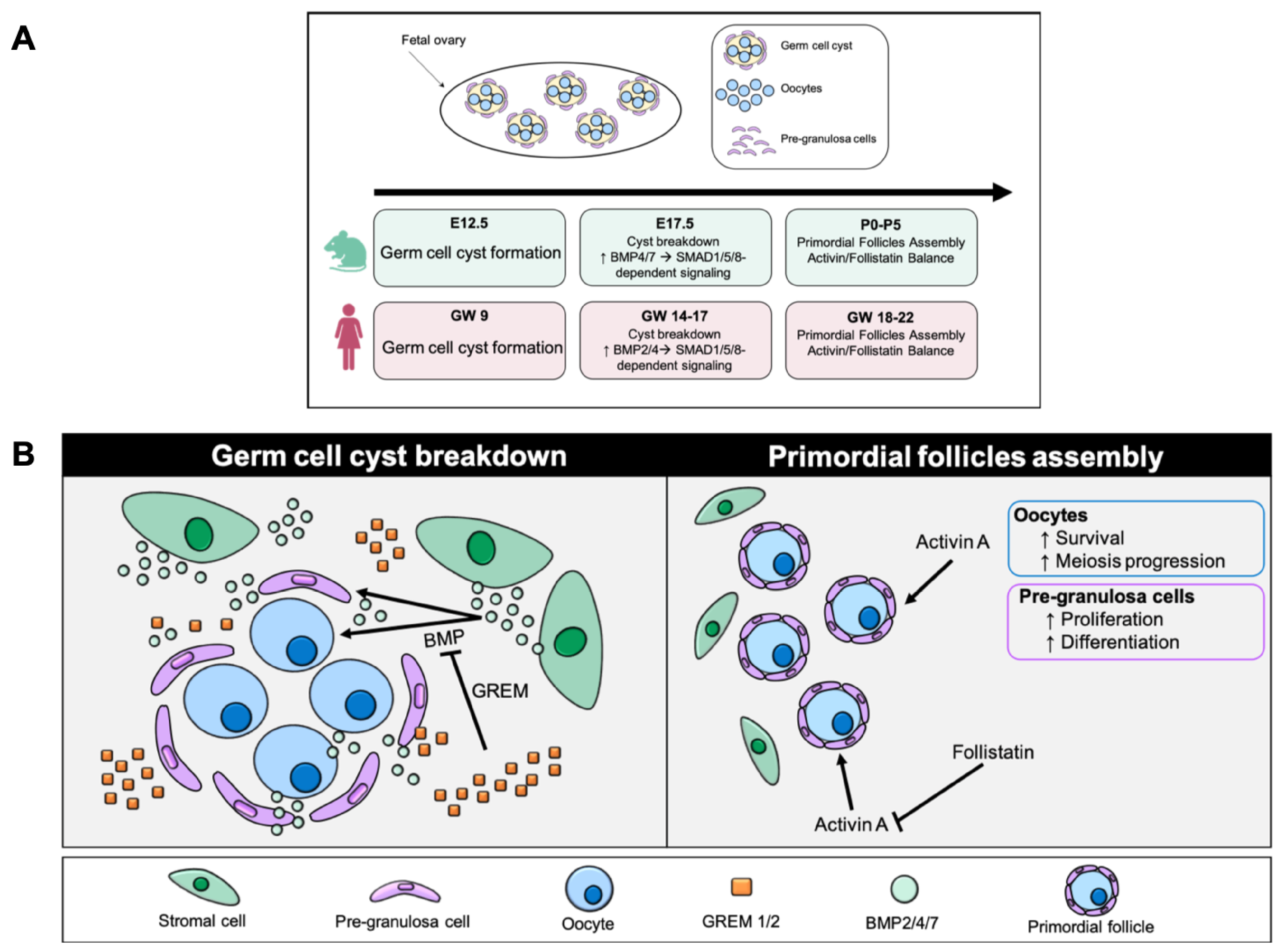 Biomolecules 16 00130 g001