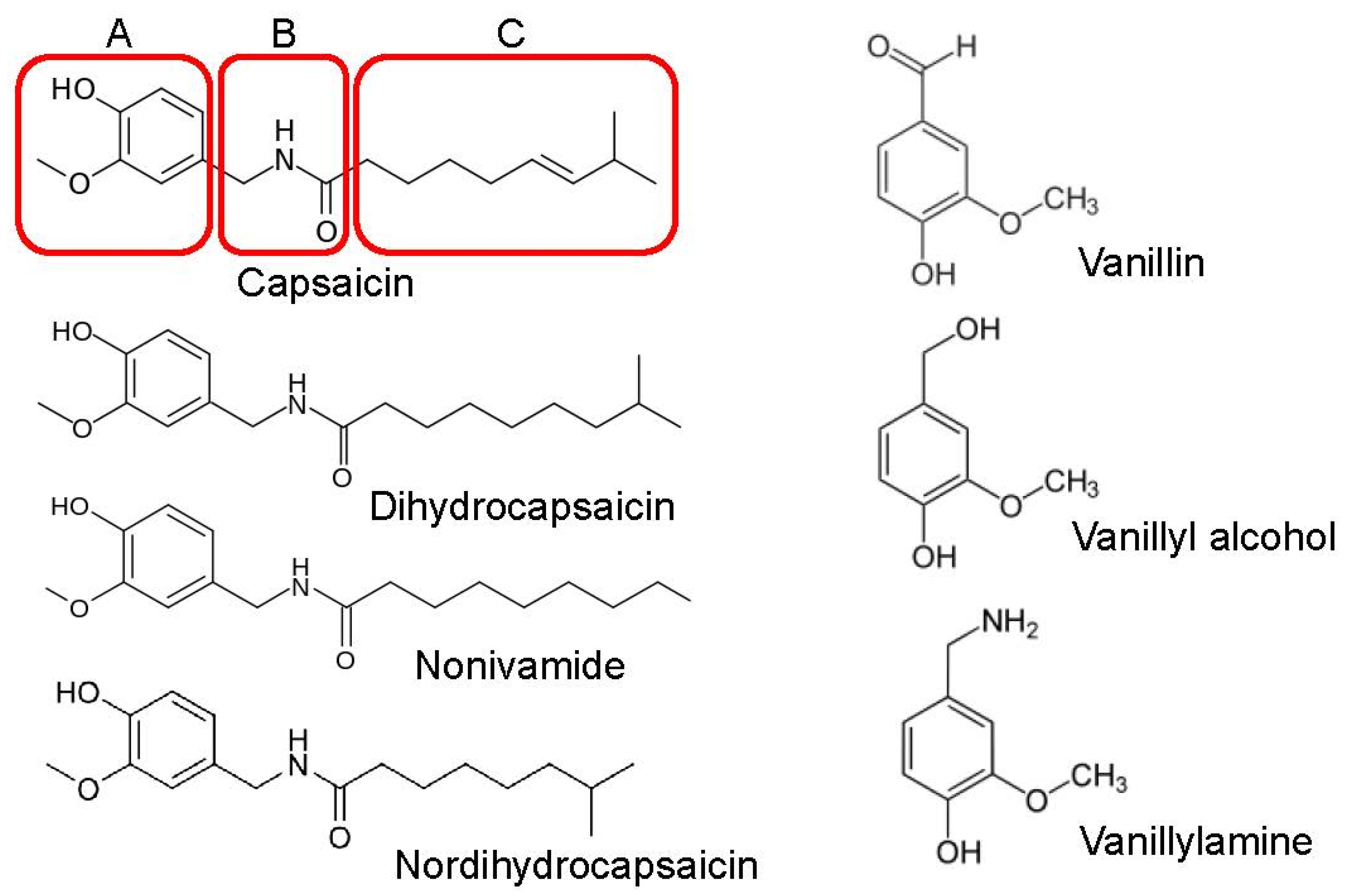 Biomolecules 16 00135 g001