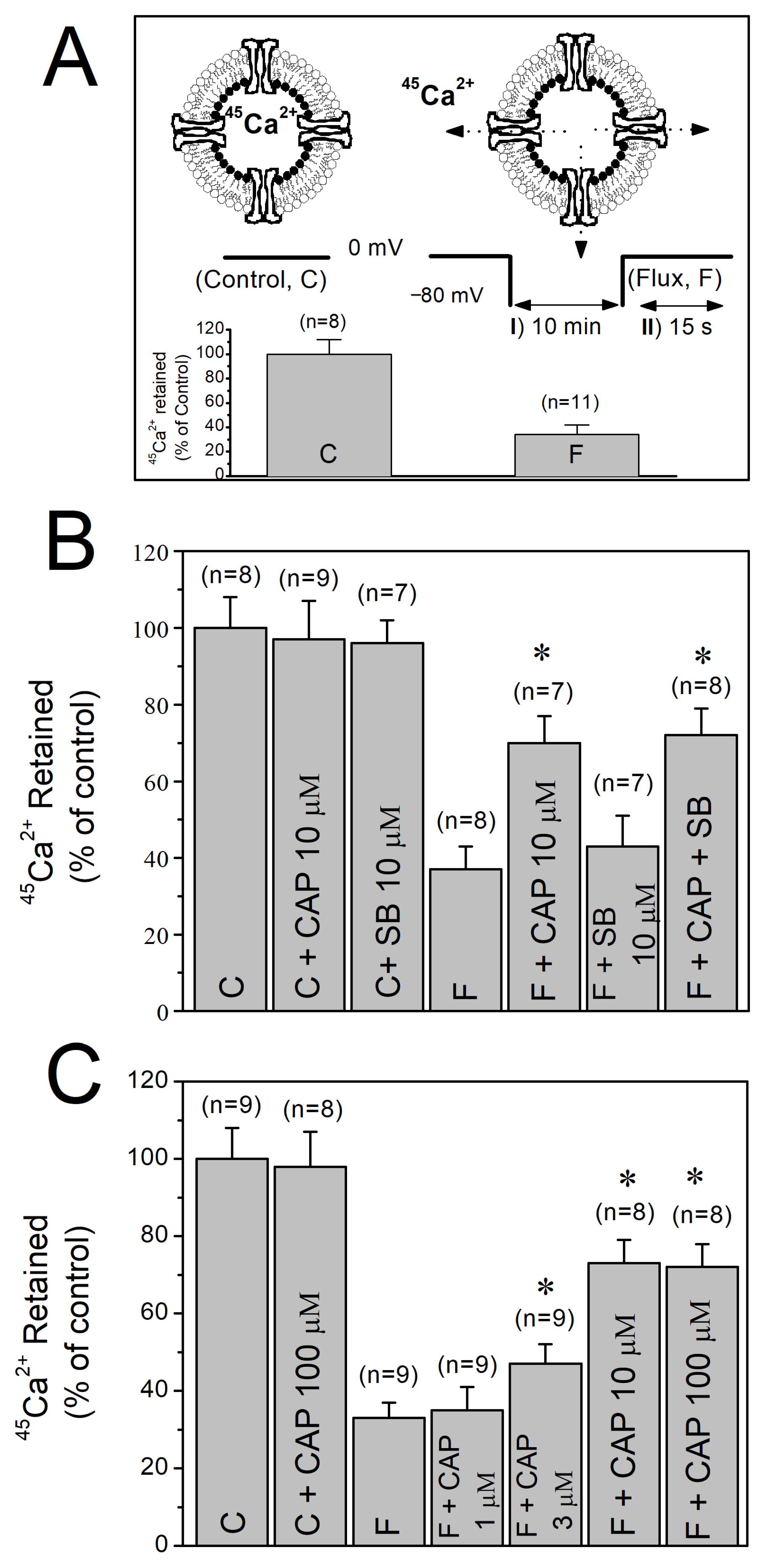 Biomolecules 16 00135 g002