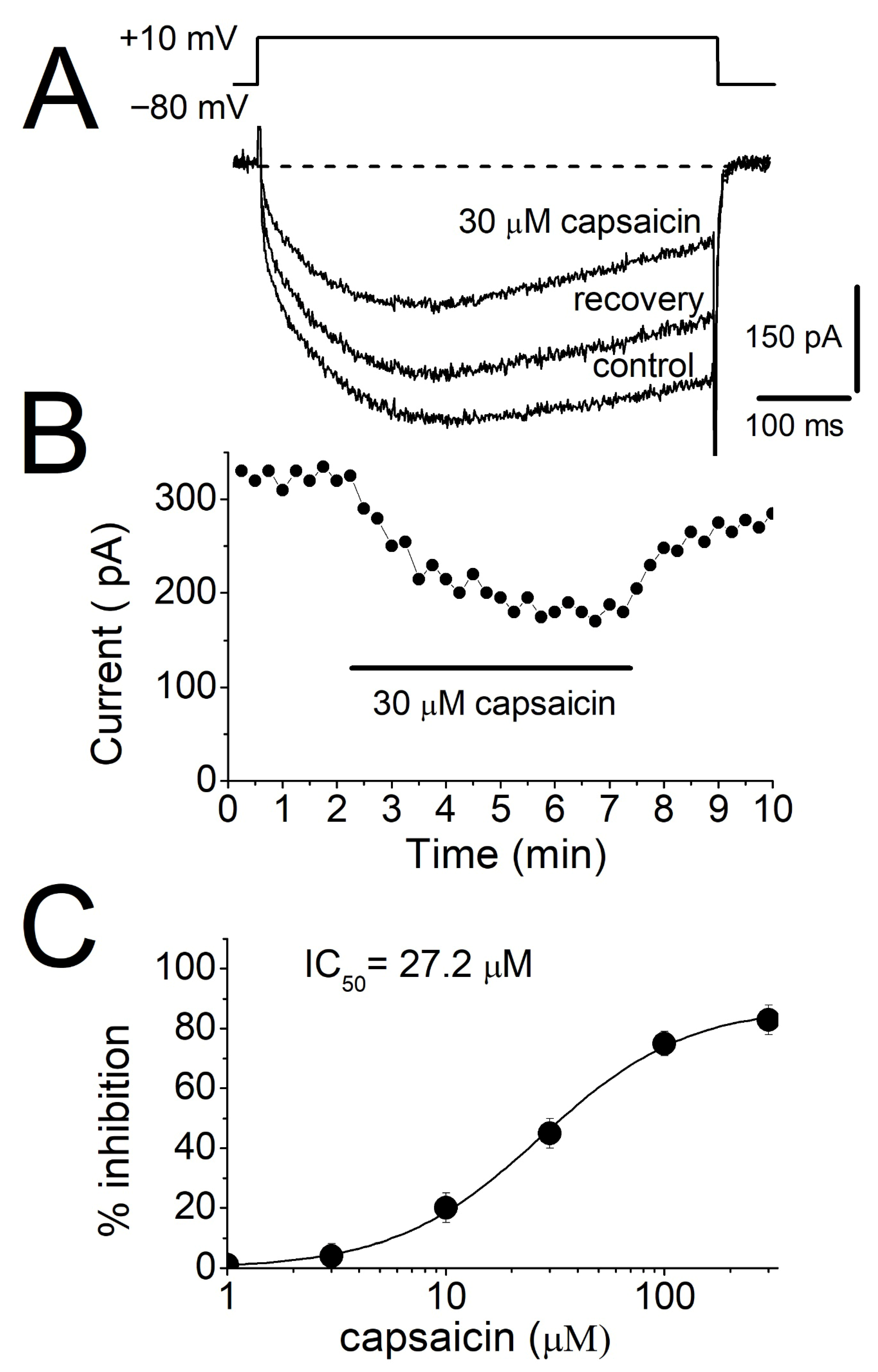 Biomolecules 16 00135 g004