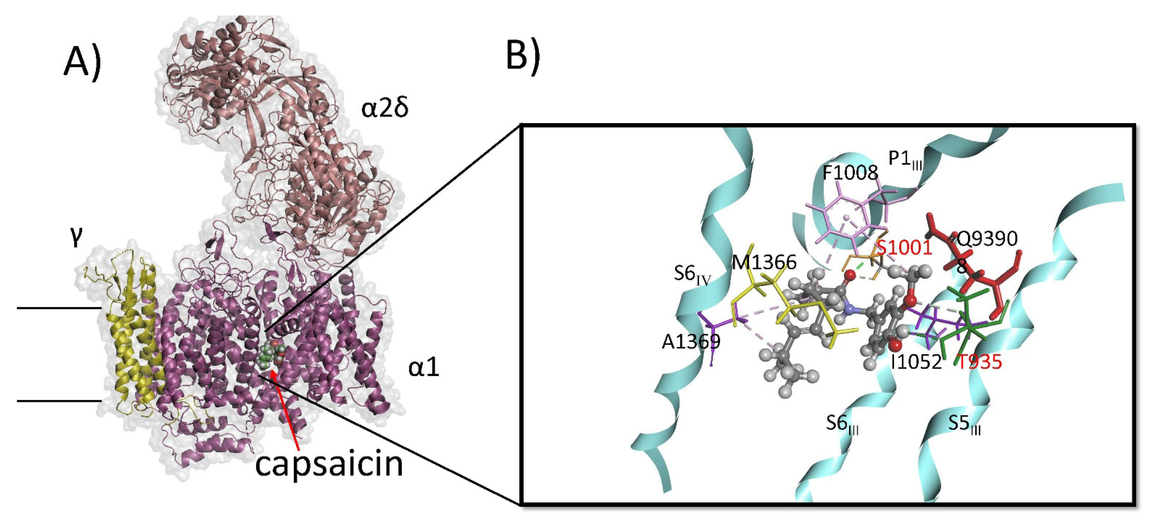 Biomolecules 16 00135 g006