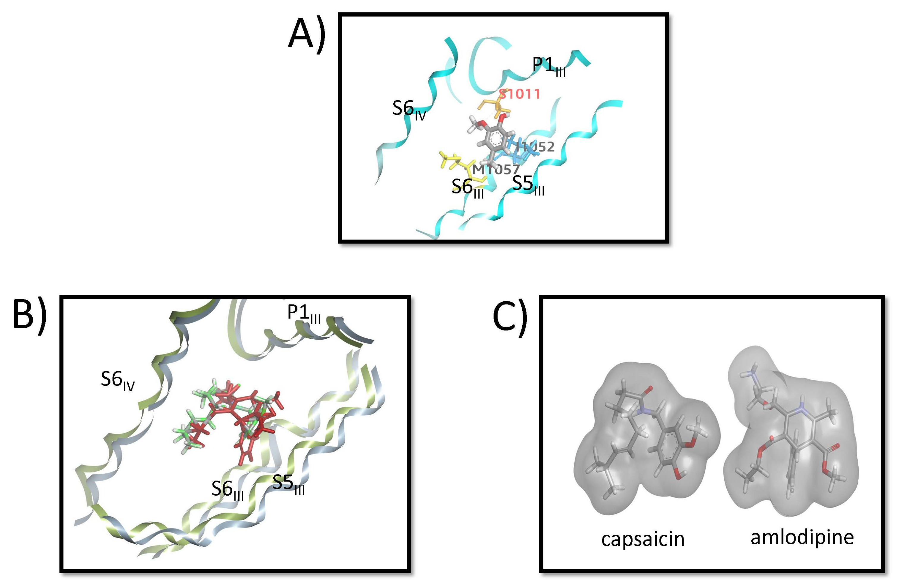 Biomolecules 16 00135 g007