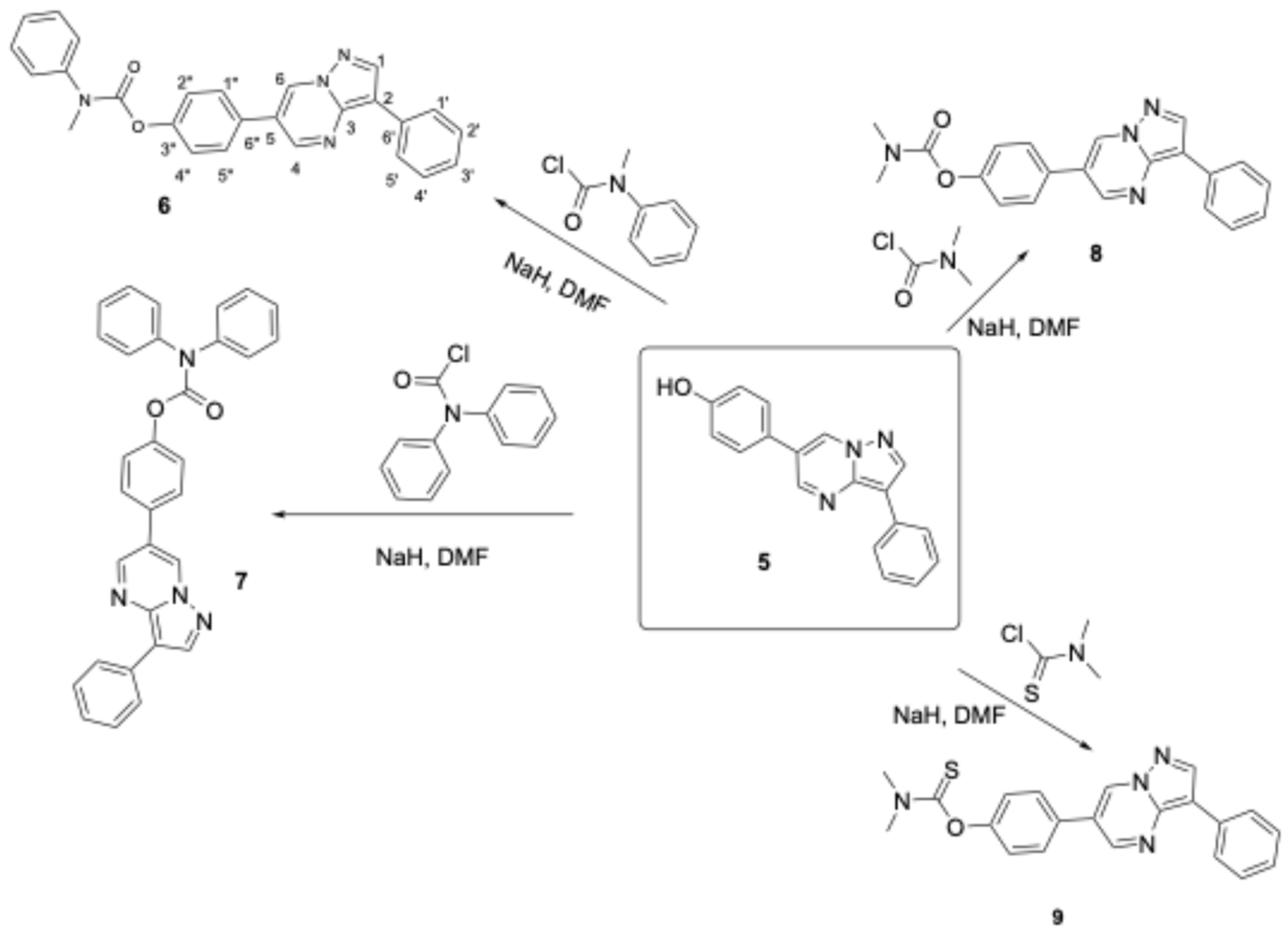 Biomolecules 16 00145 g004 Biomolecules 16 00145 g004