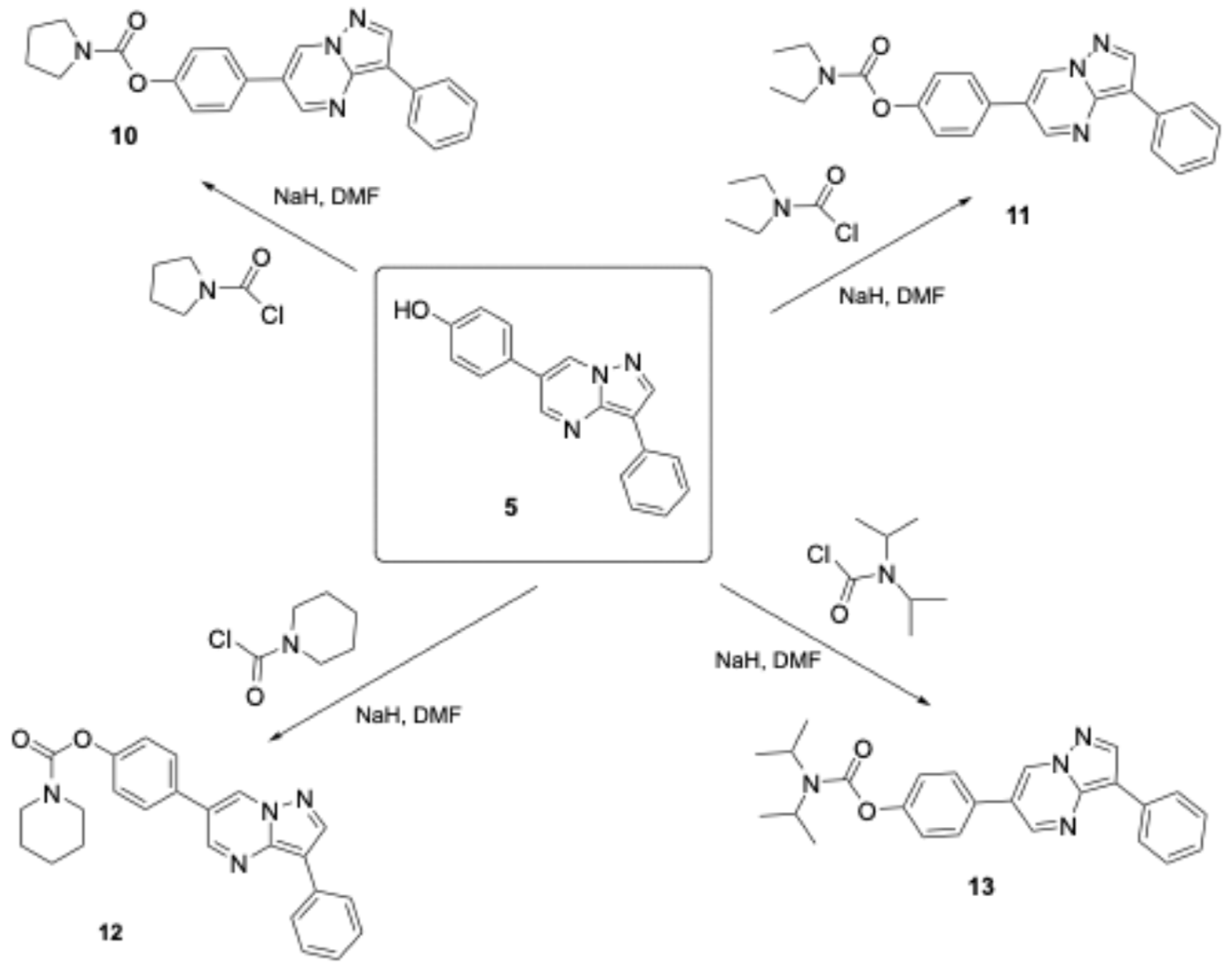 Biomolecules 16 00145 g005 Biomolecules 16 00145 g005