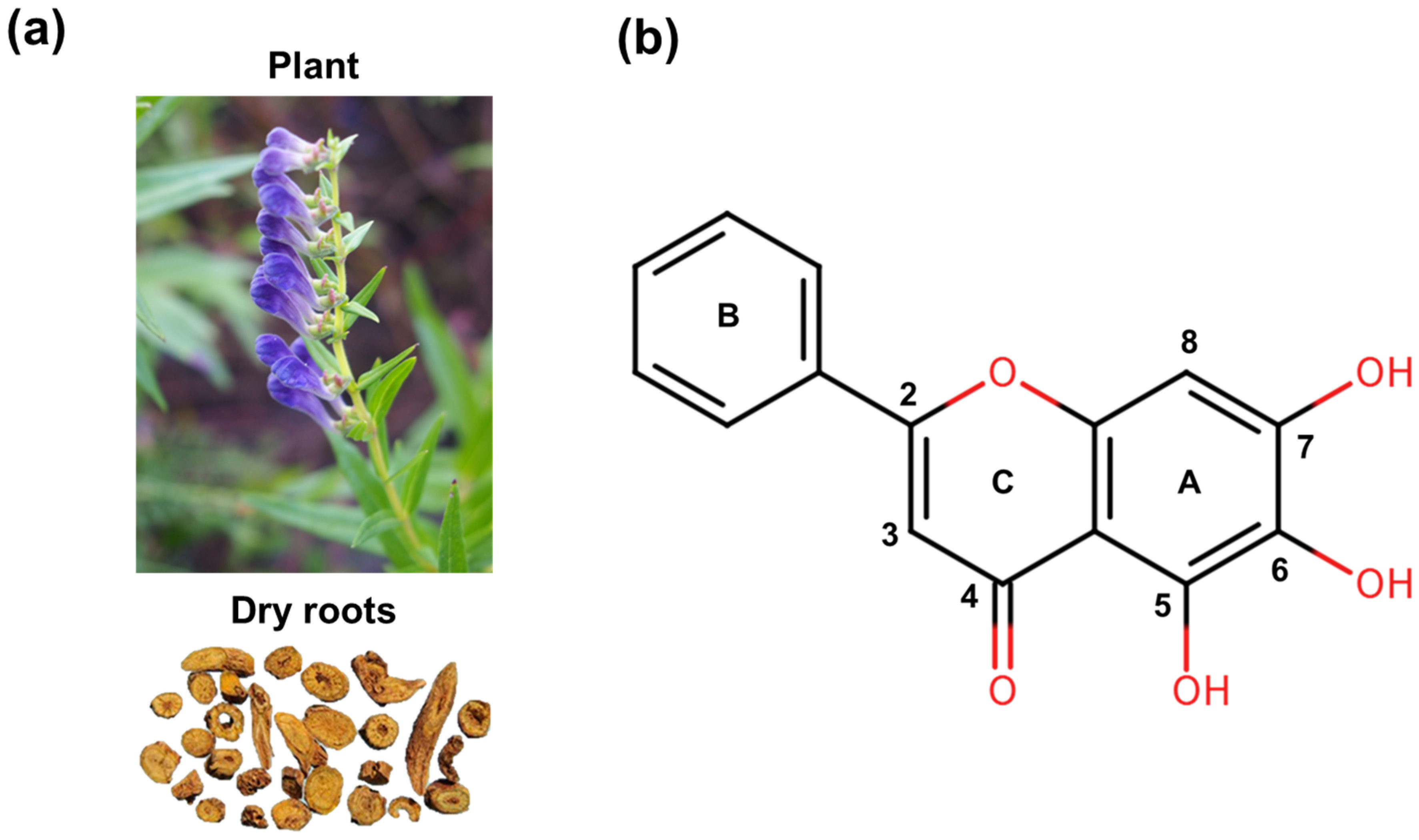 Biomolecules 16 00151 g001 Biomolecules 16 00151 g001